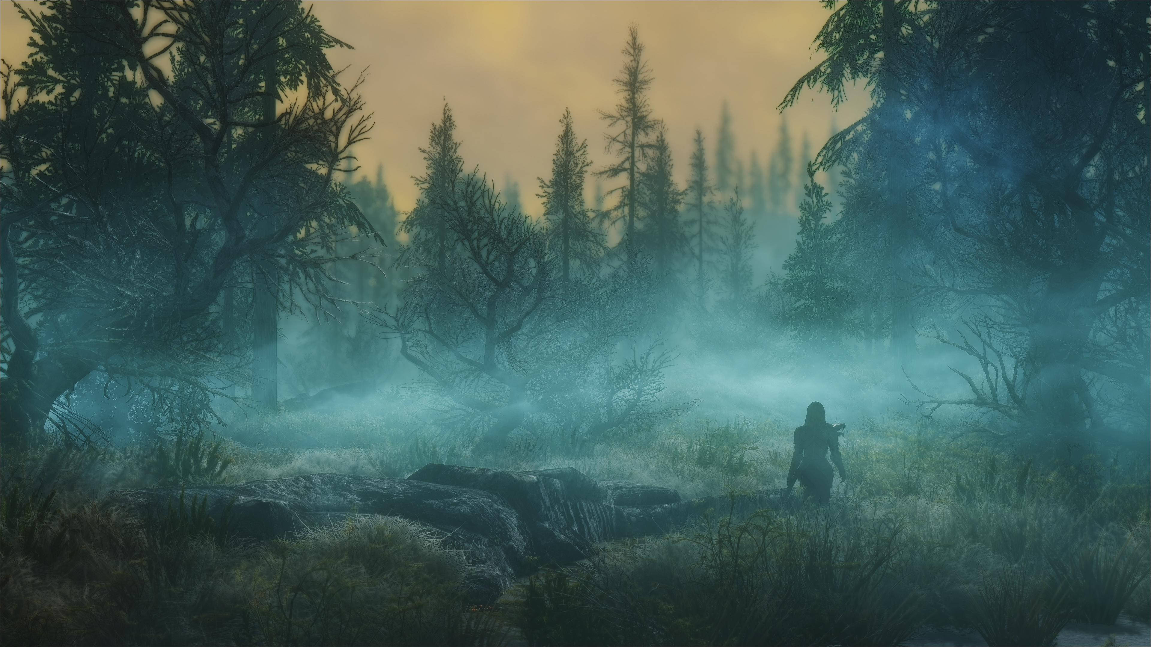 Skyrim надвисокої чіткості туманний темний ліс Шпалери