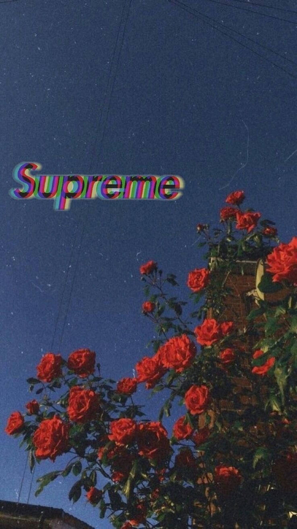 Преміальна нічна естетика Supreme Шпалери