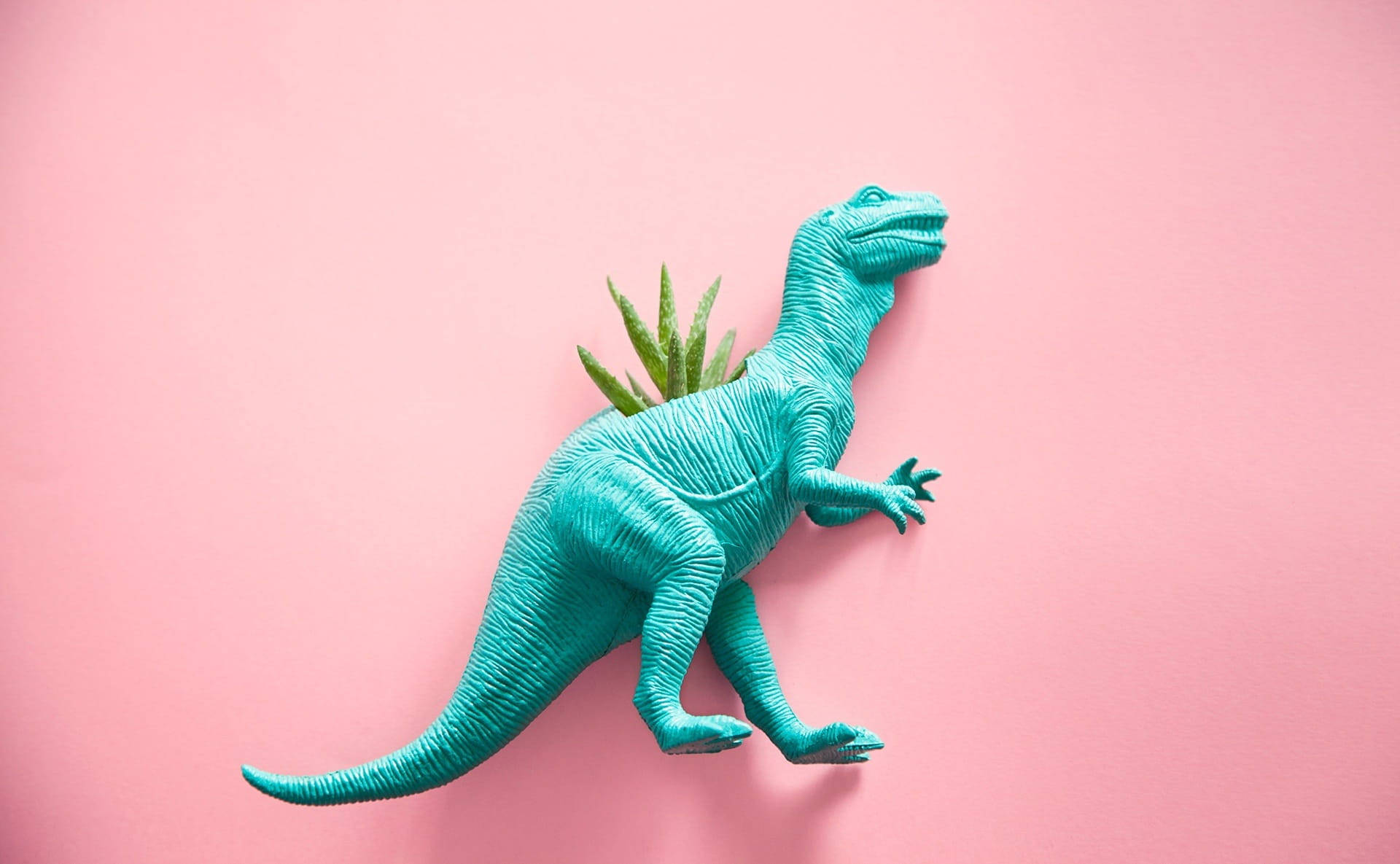 Милий рожевий динозавр T-rex з рослиною Шпалери