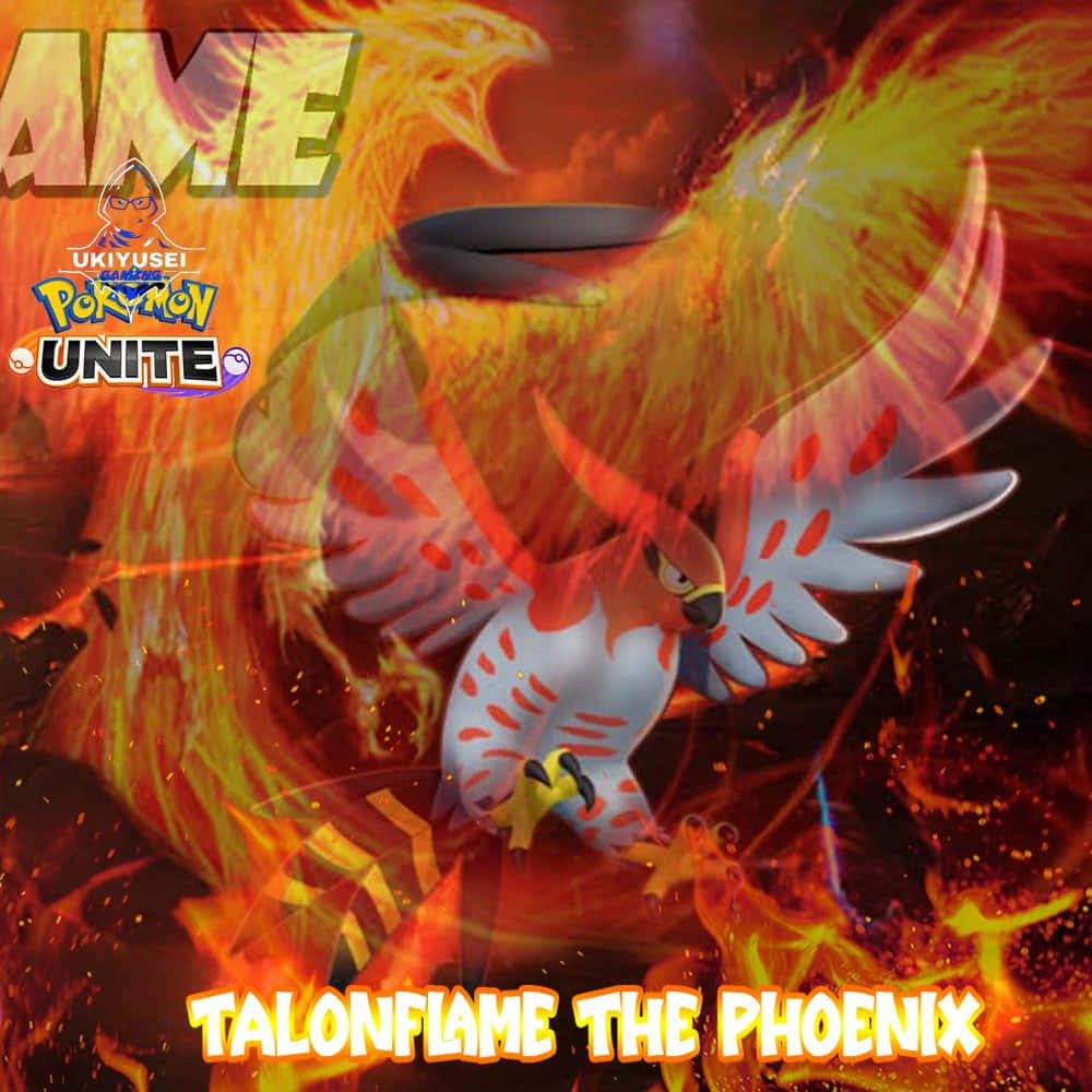 Talonflame Фенікс Покемон Юнайт Шпалери