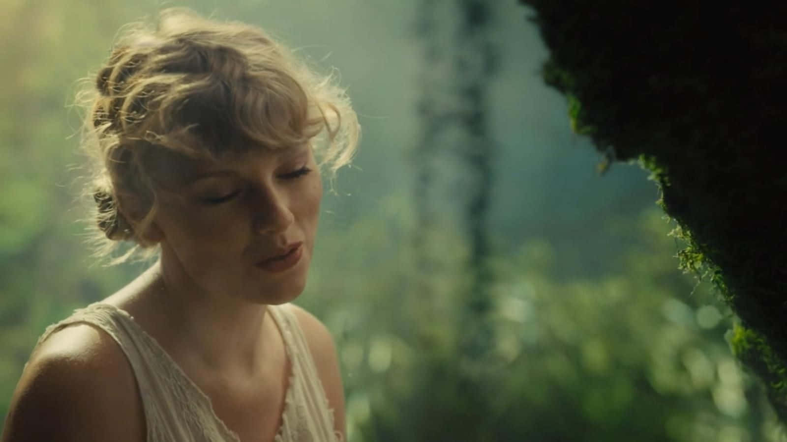 Пісня Taylor Swift Folklore Cardigan Шпалери