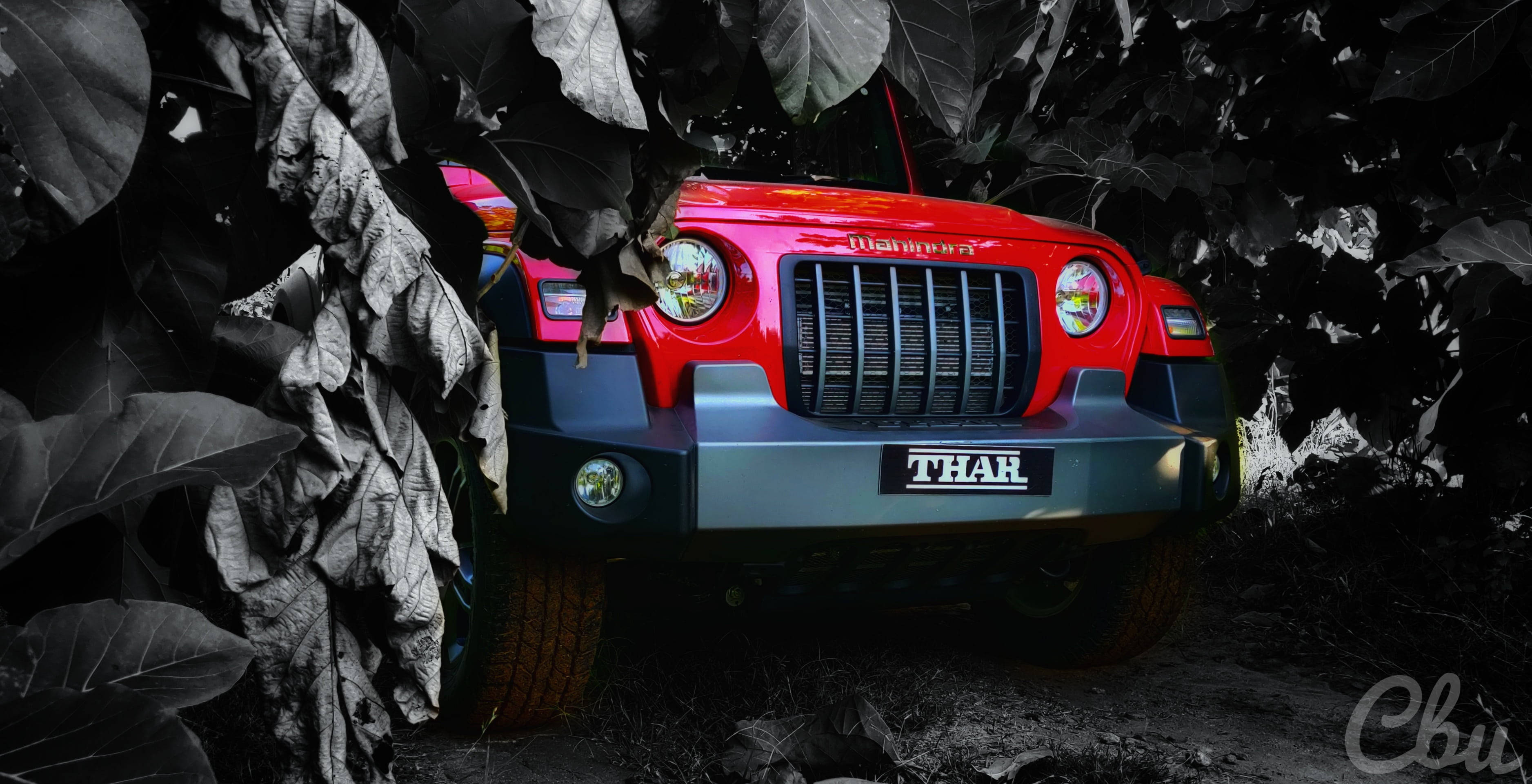 Приголомшливий червоний Thar на тлі темних дерев Шпалери