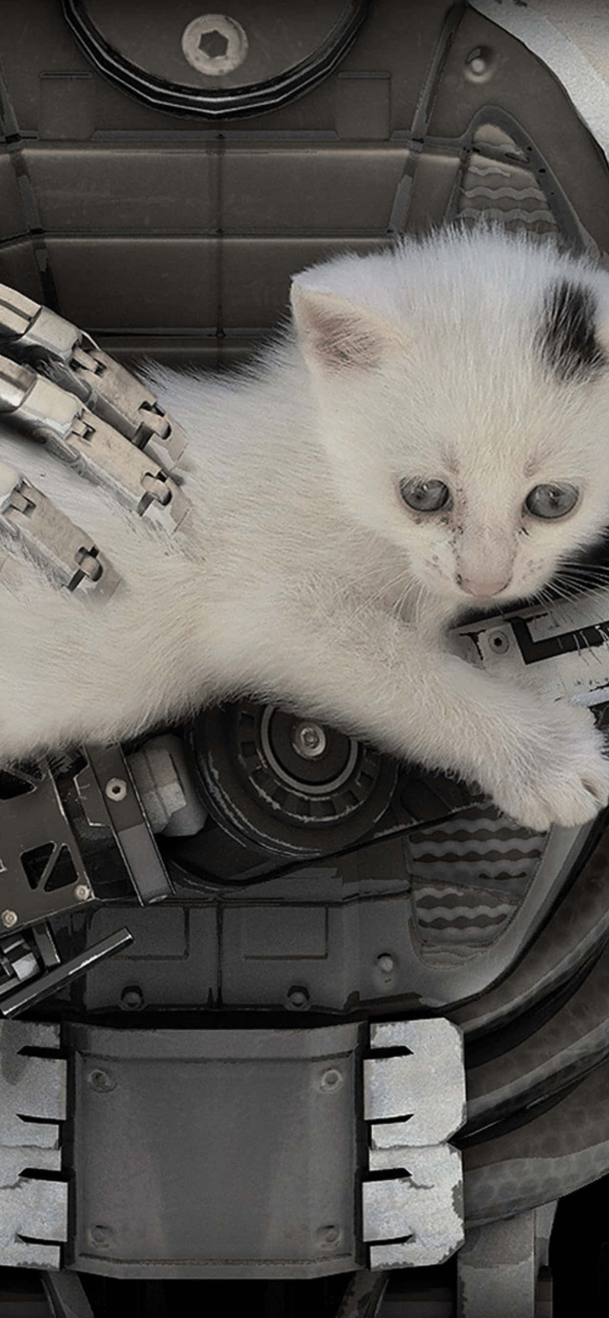 Величественный мир The Talos Principle на iPhone XS Max Шпалери