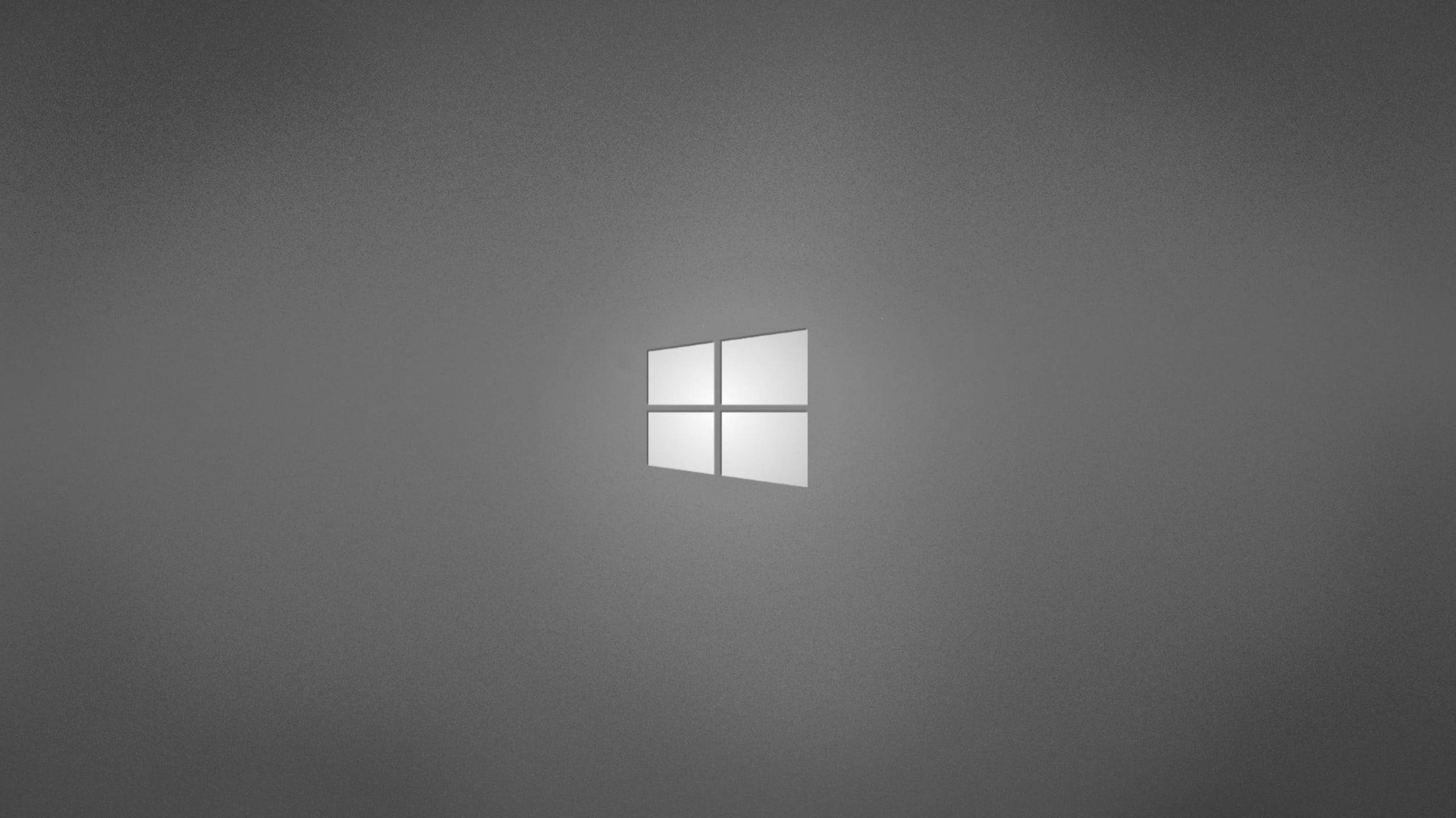 Сірий логотип Windows професійний робочий стіл Шпалери
