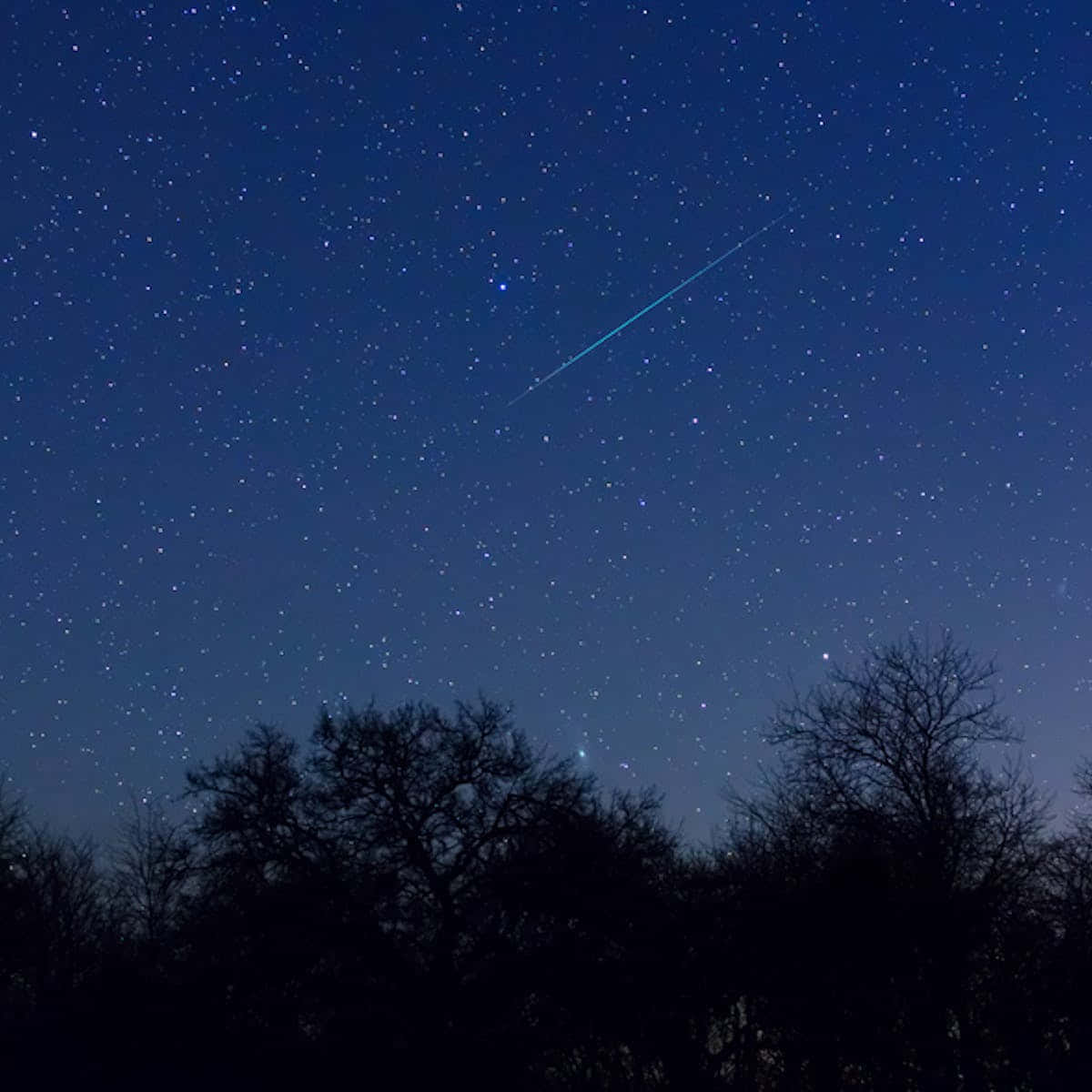 Багатство зірок у нічному небі Шпалери