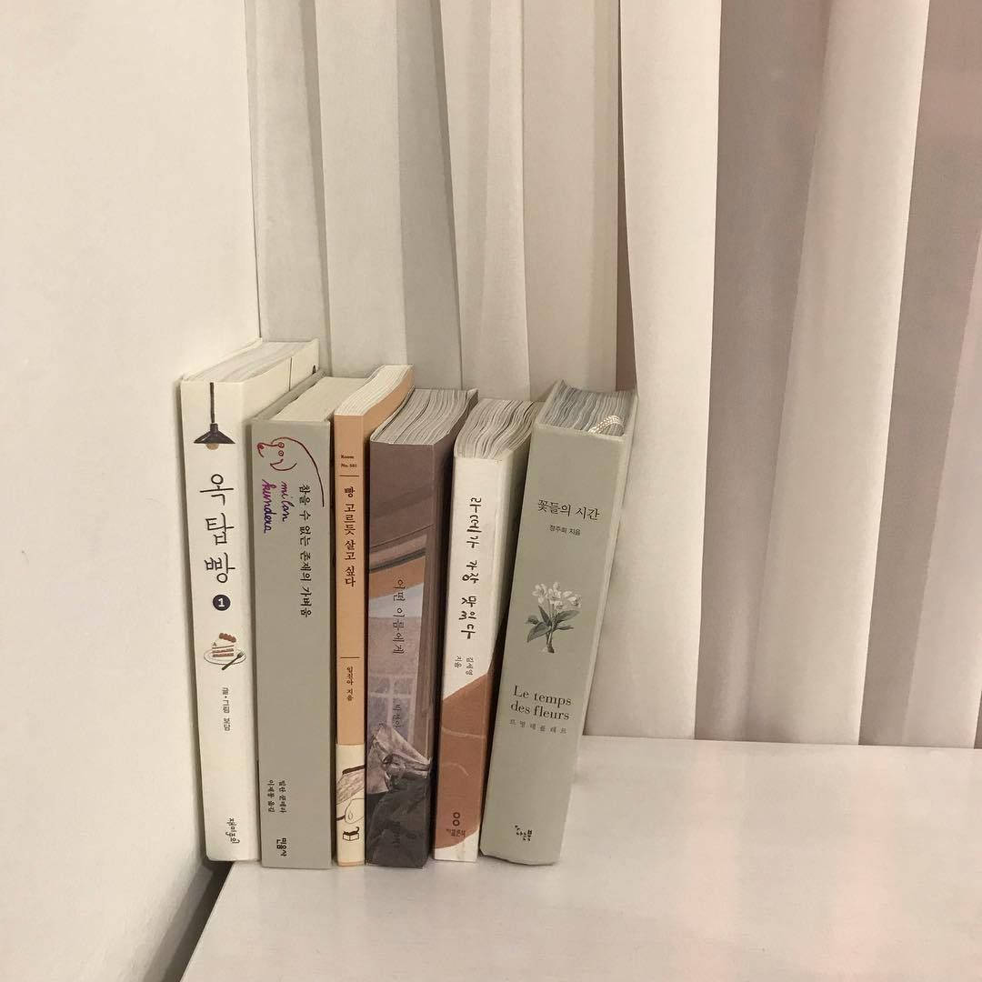 Шпалери з бежевими естетичними корейськими книгами