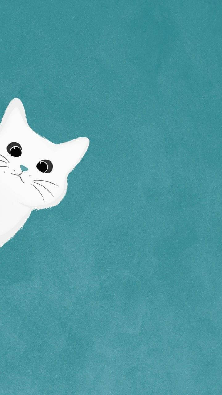 Білий котик виглядає, проста естетика Шпалери