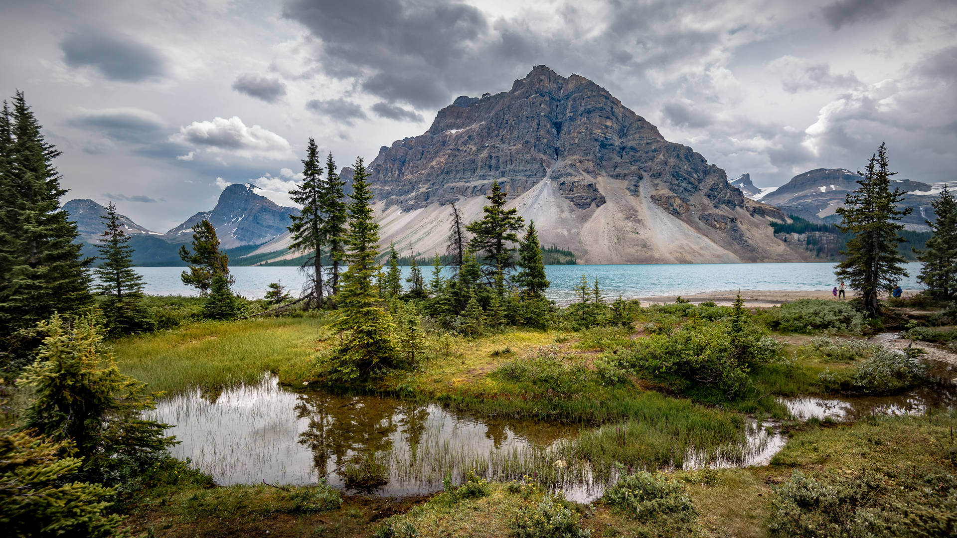 Гірська вершина здалеку з тонкими хвойними деревами на землі.