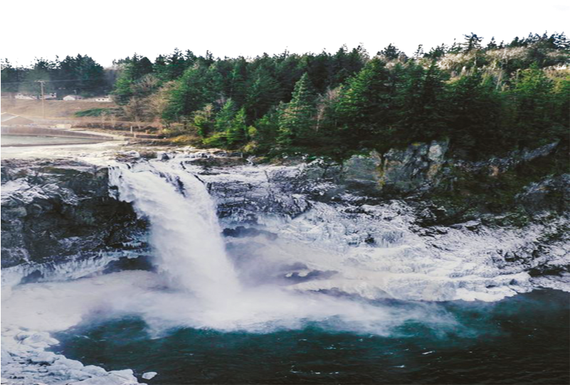 Величие лісного водопада Шпалери