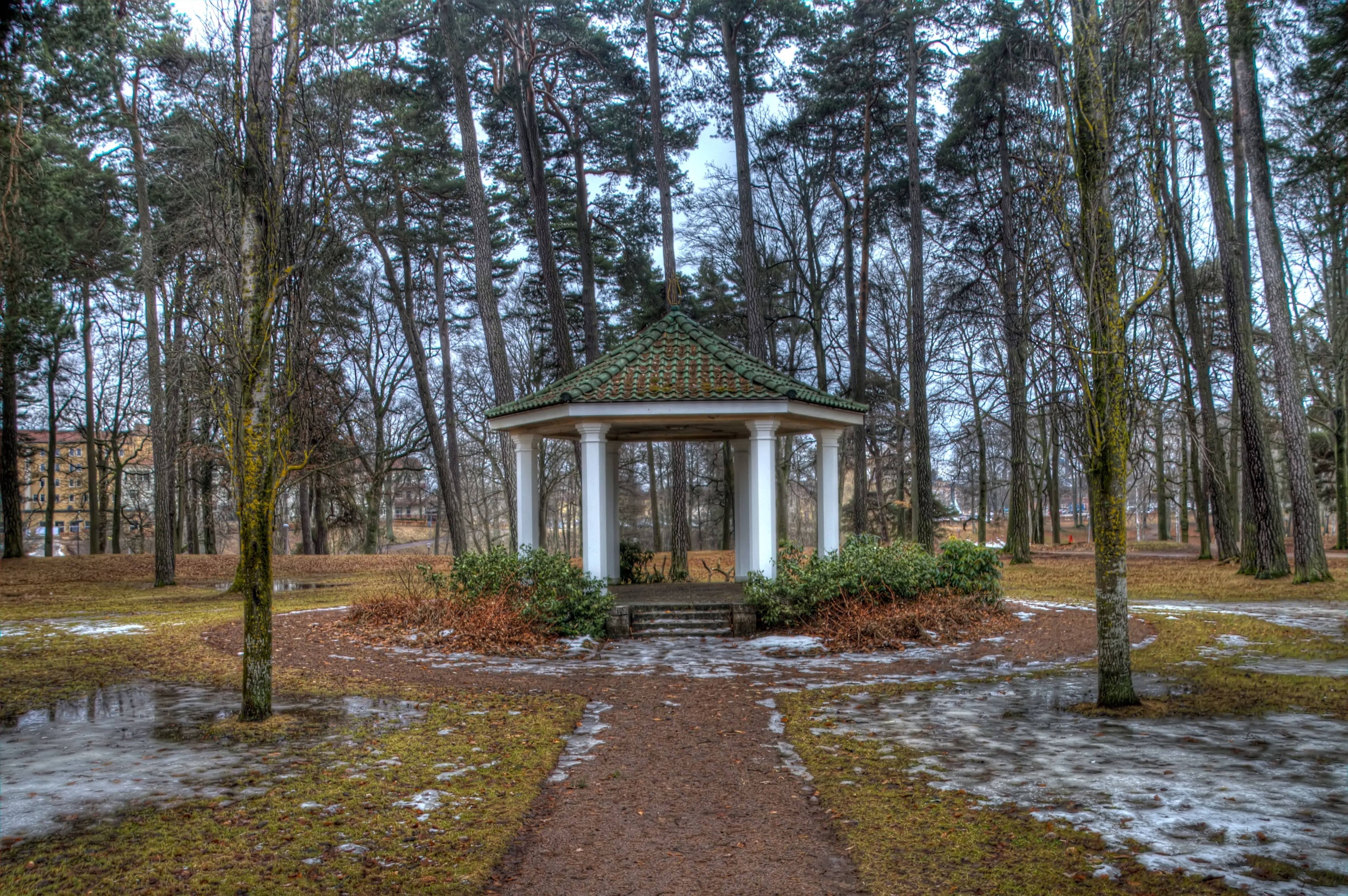 Весенний парк Шпалери