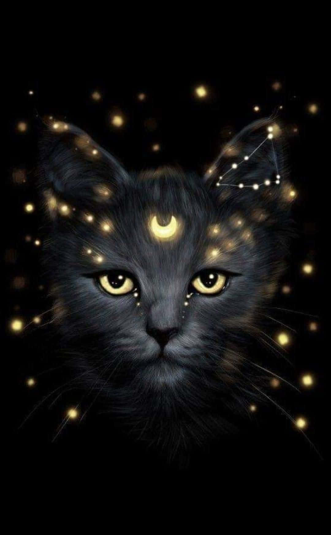 Отправьтесь во Вселенную с Galaxy Cat Шпалери