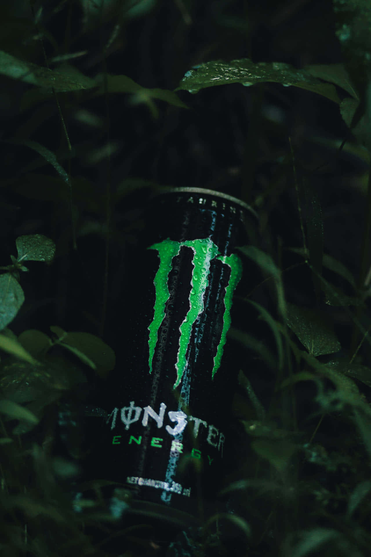 Выпусти зверя с Monster Energy Шпалери