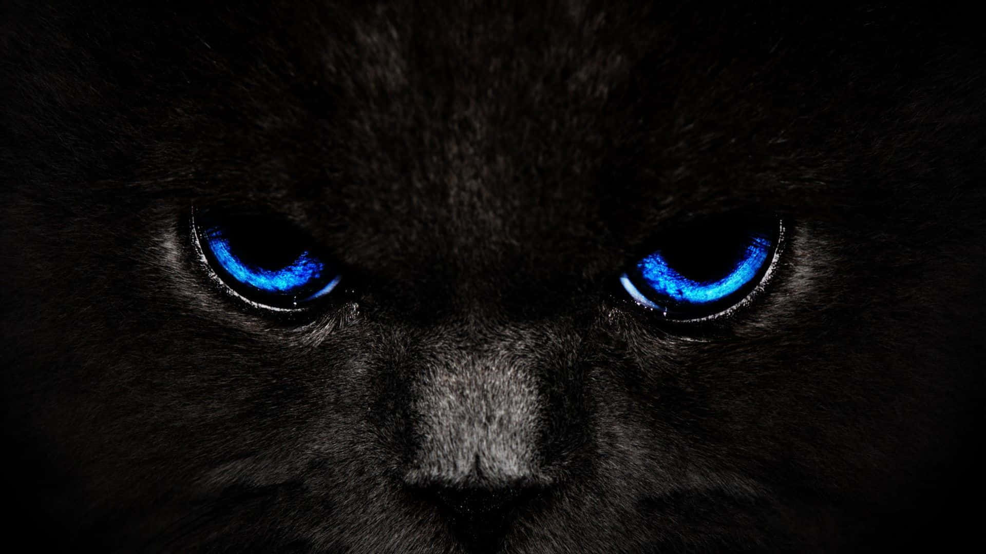 Відкрийте для себе красу та динаміку Cool Black Шпалери