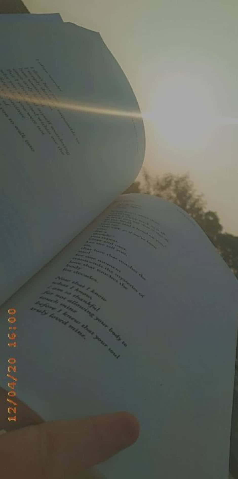"Дайте волю своїй уяве с книгою в руках." Шпалери