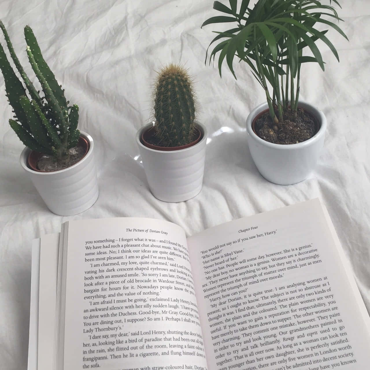 "Досліджуй світ книг! 📖" Шпалери