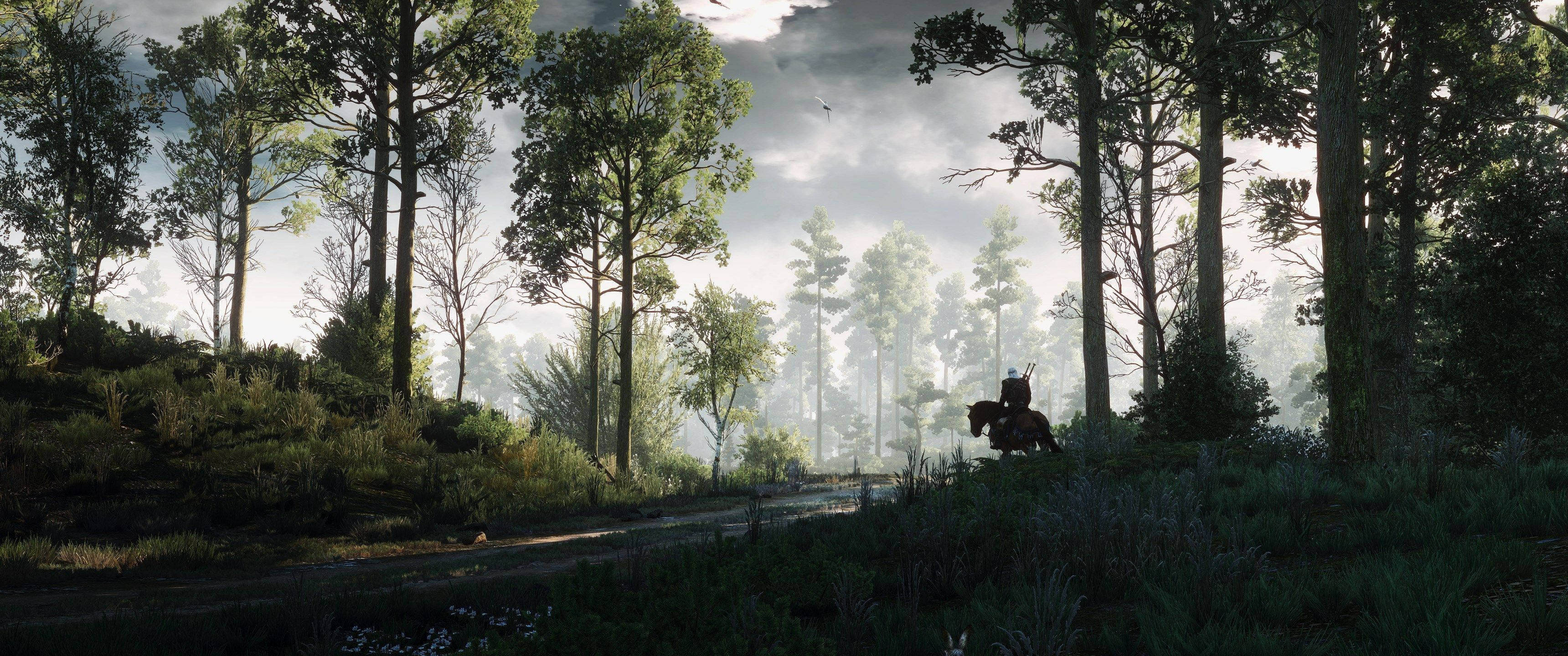 Дослідуйте містический лес відеоигры The Witcher Шпалери