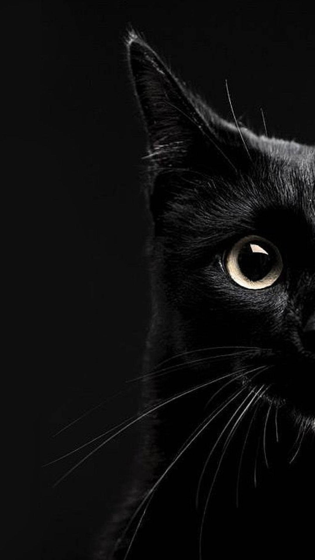 Естетичний крупний план чорного кота для iPhone Шпалери