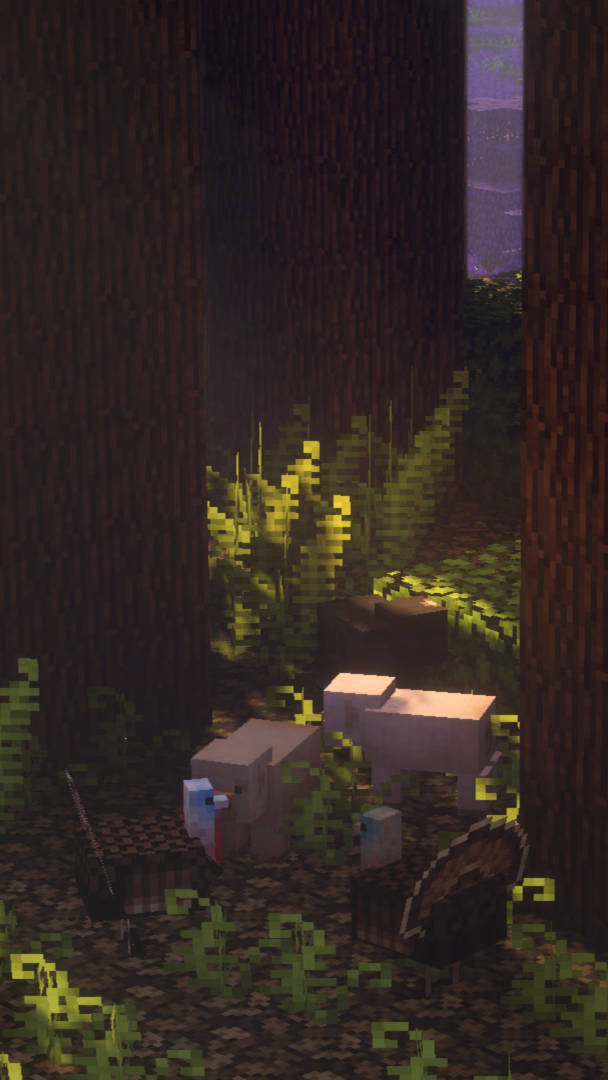 Естетичний темний ліс Minecraft Шпалери