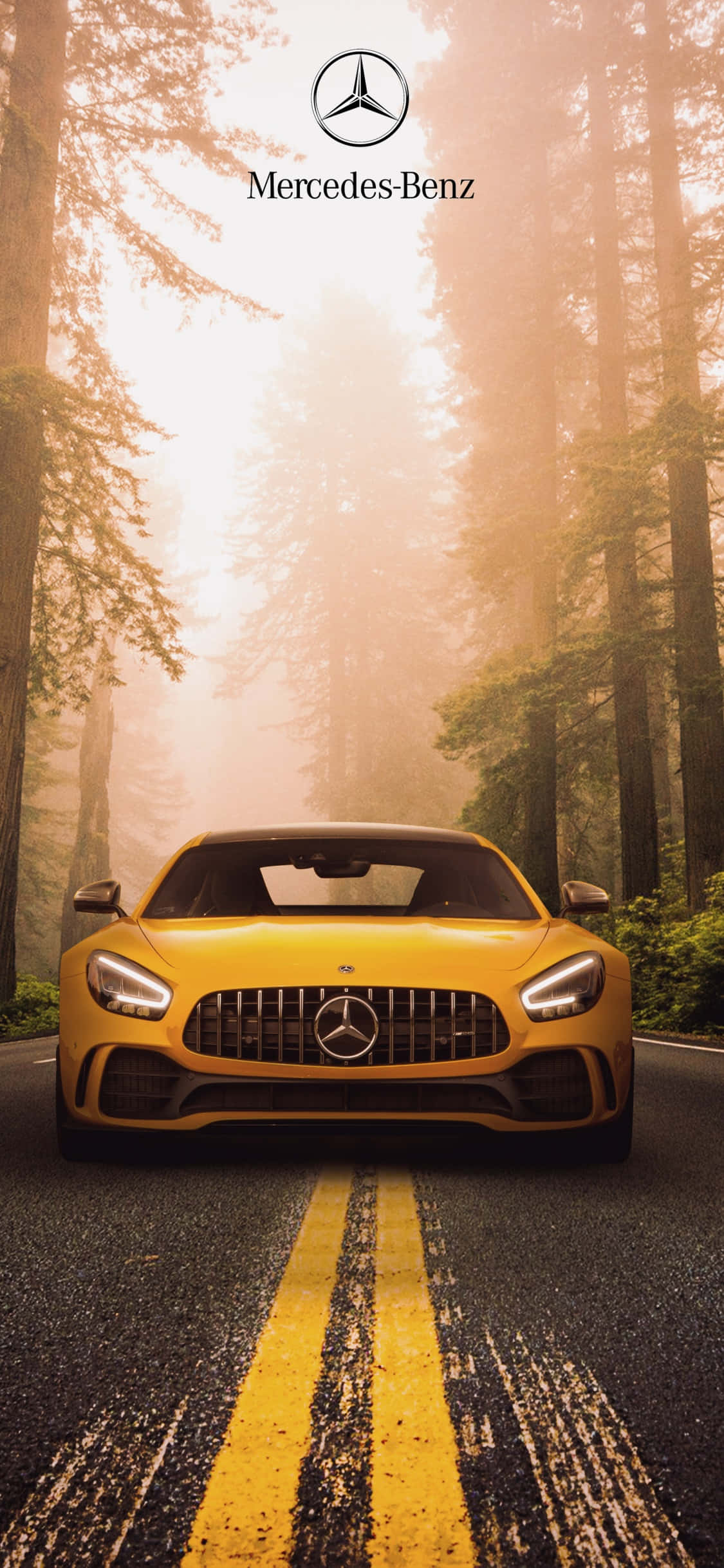 Желтый фон iPhone Xs Mercedes Amg в лесу Шпалери