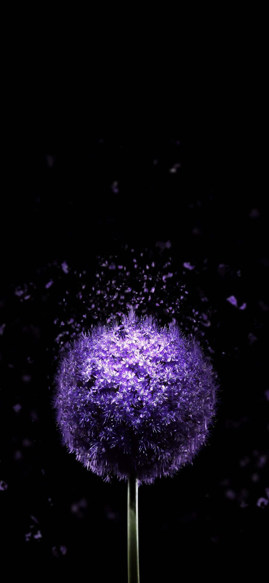 Фон iPhone 13