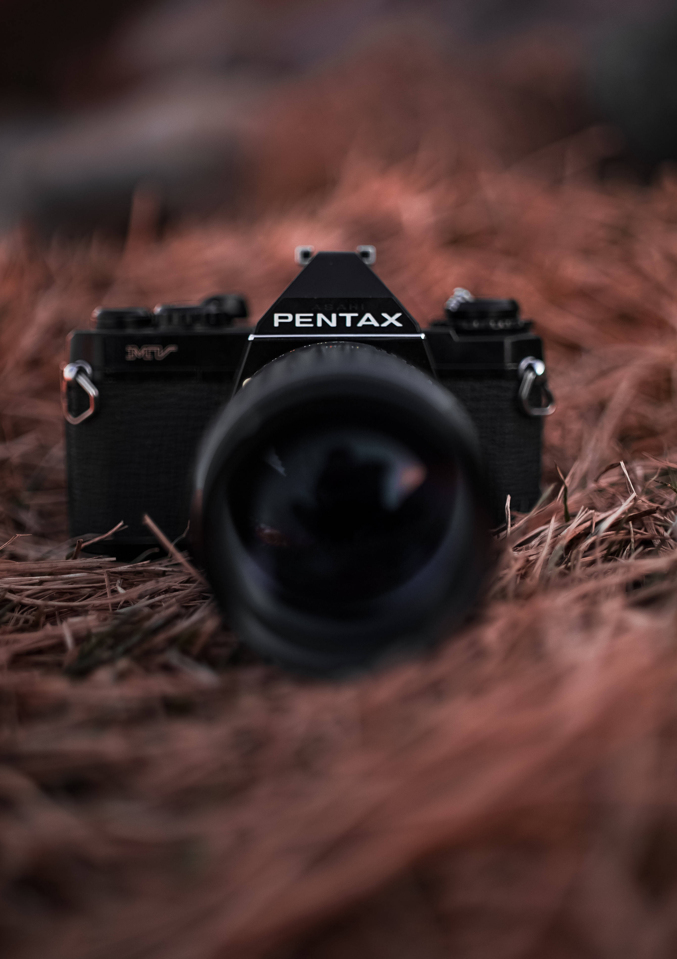 Зафіксируйте красоту жизи с камерой Pentax Шпалери