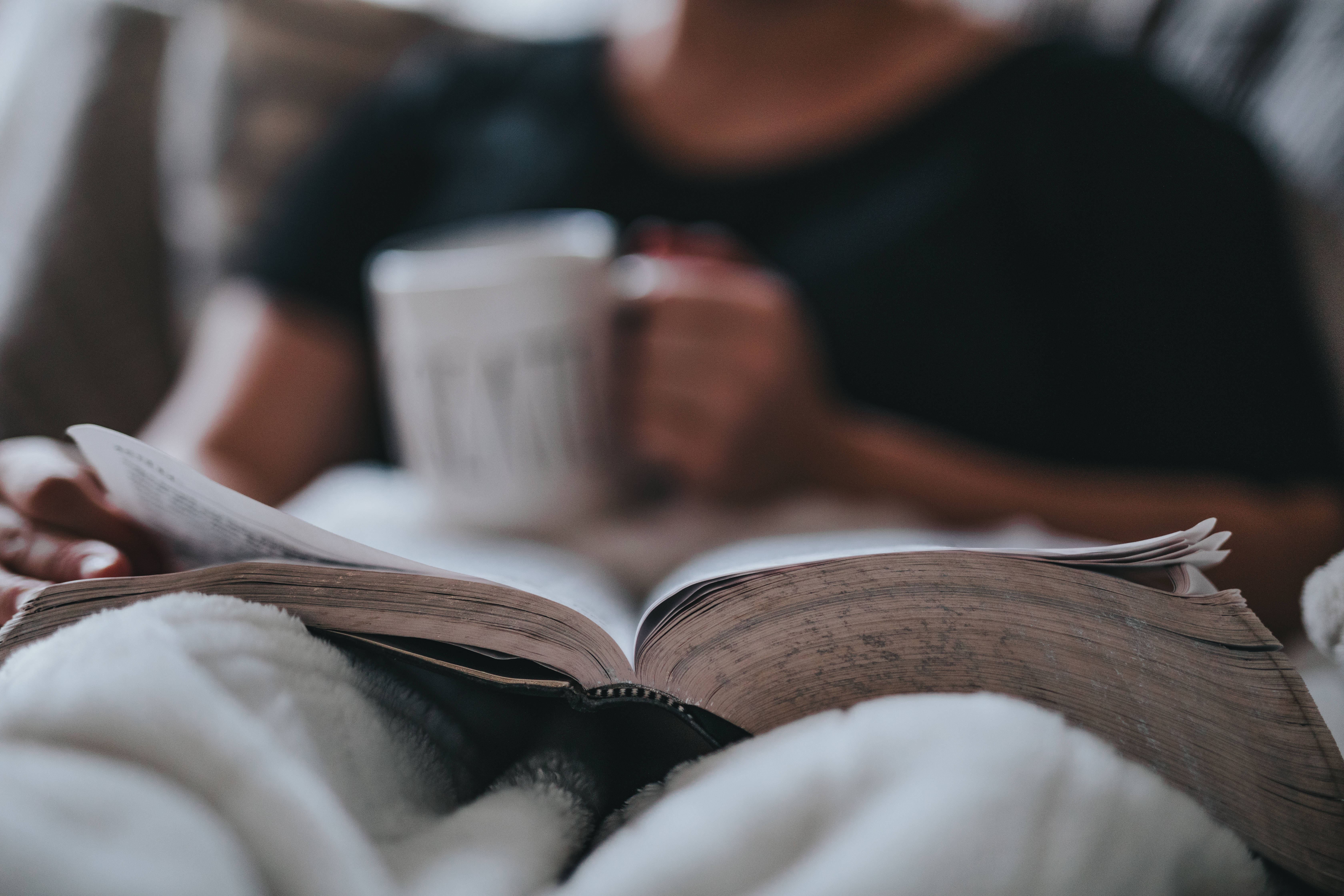 Затишна книжкова естетика Шпалери