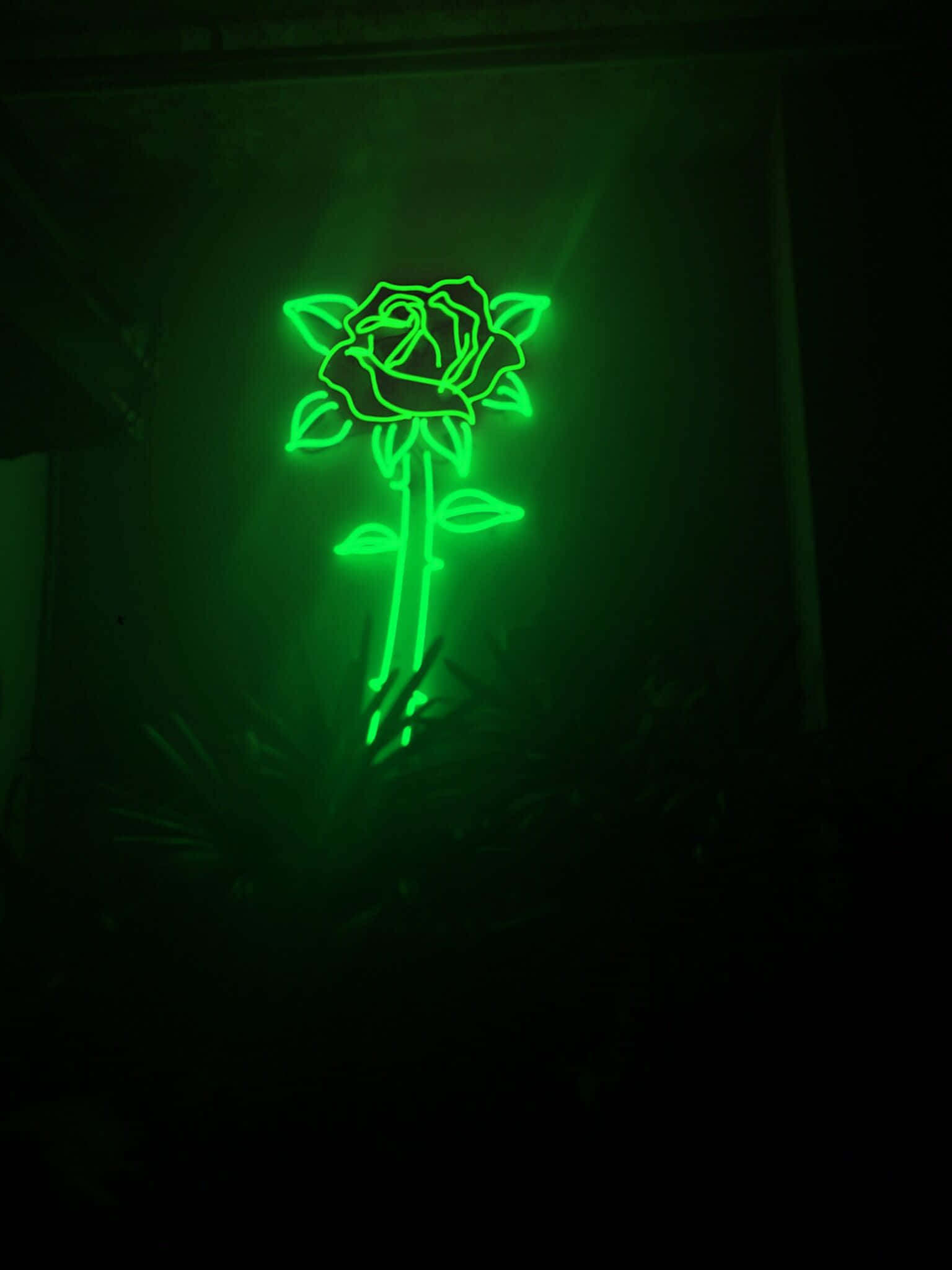 Захоплюючі шпалери в темно-зеленій естетиці Шпалери