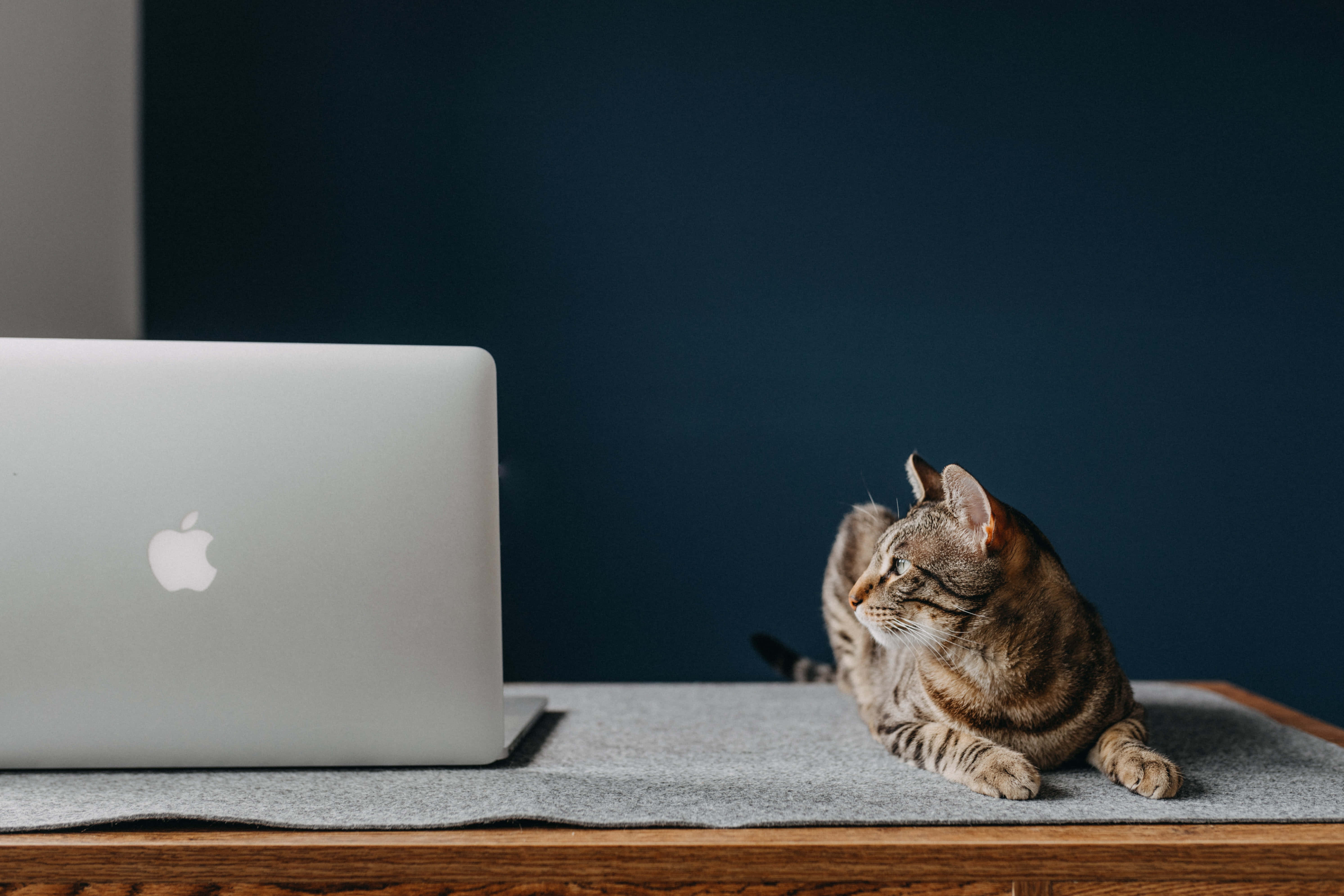 Класичний ноутбук Macbook з мінімалістичним дизайном Шпалери