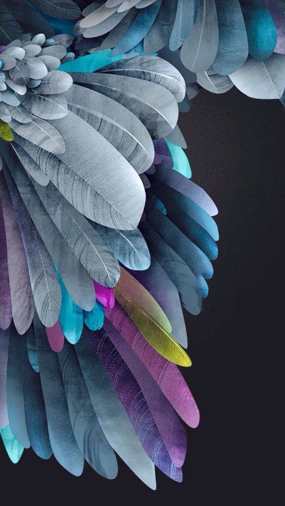 Колоритні пірья iPhone 11 Шпалери