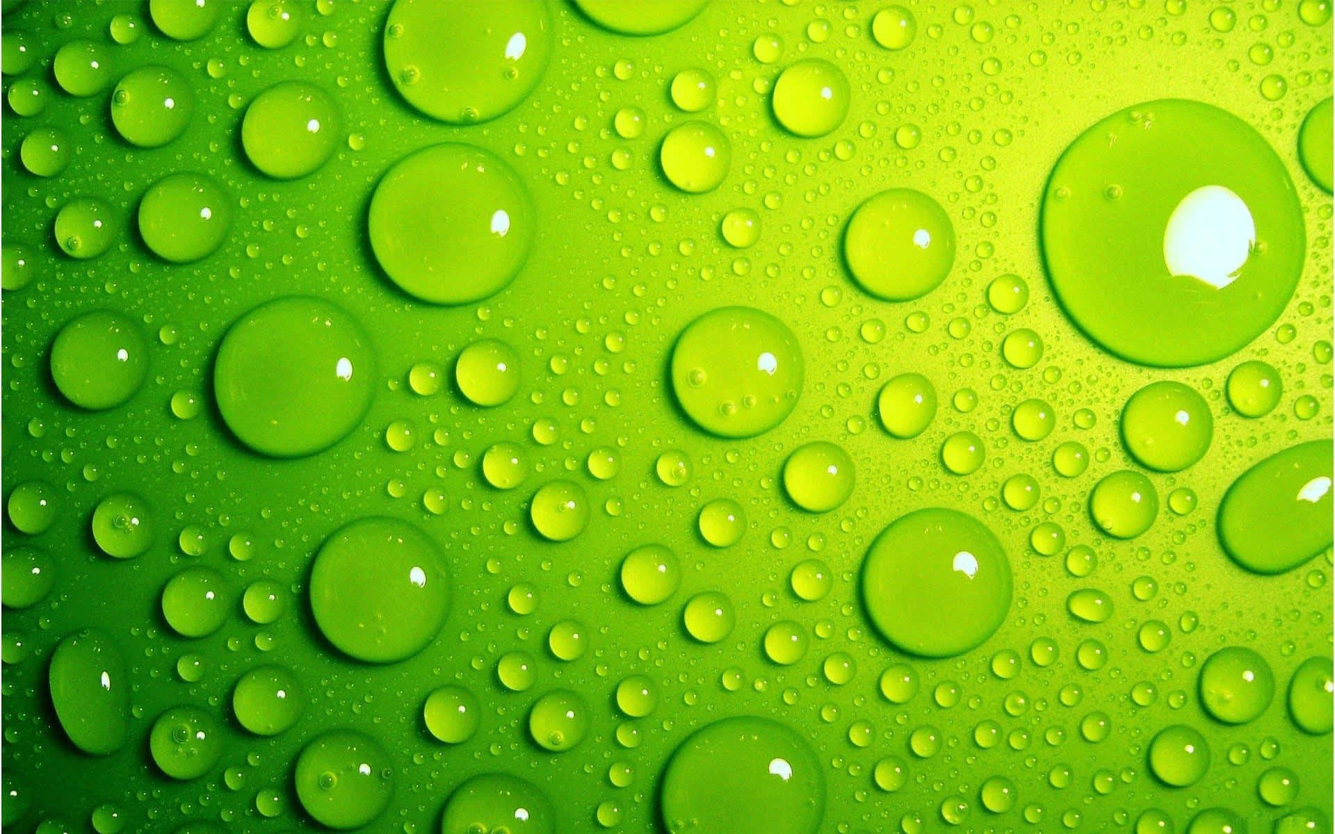 Краплі води на світло-зеленому фону Шпалери