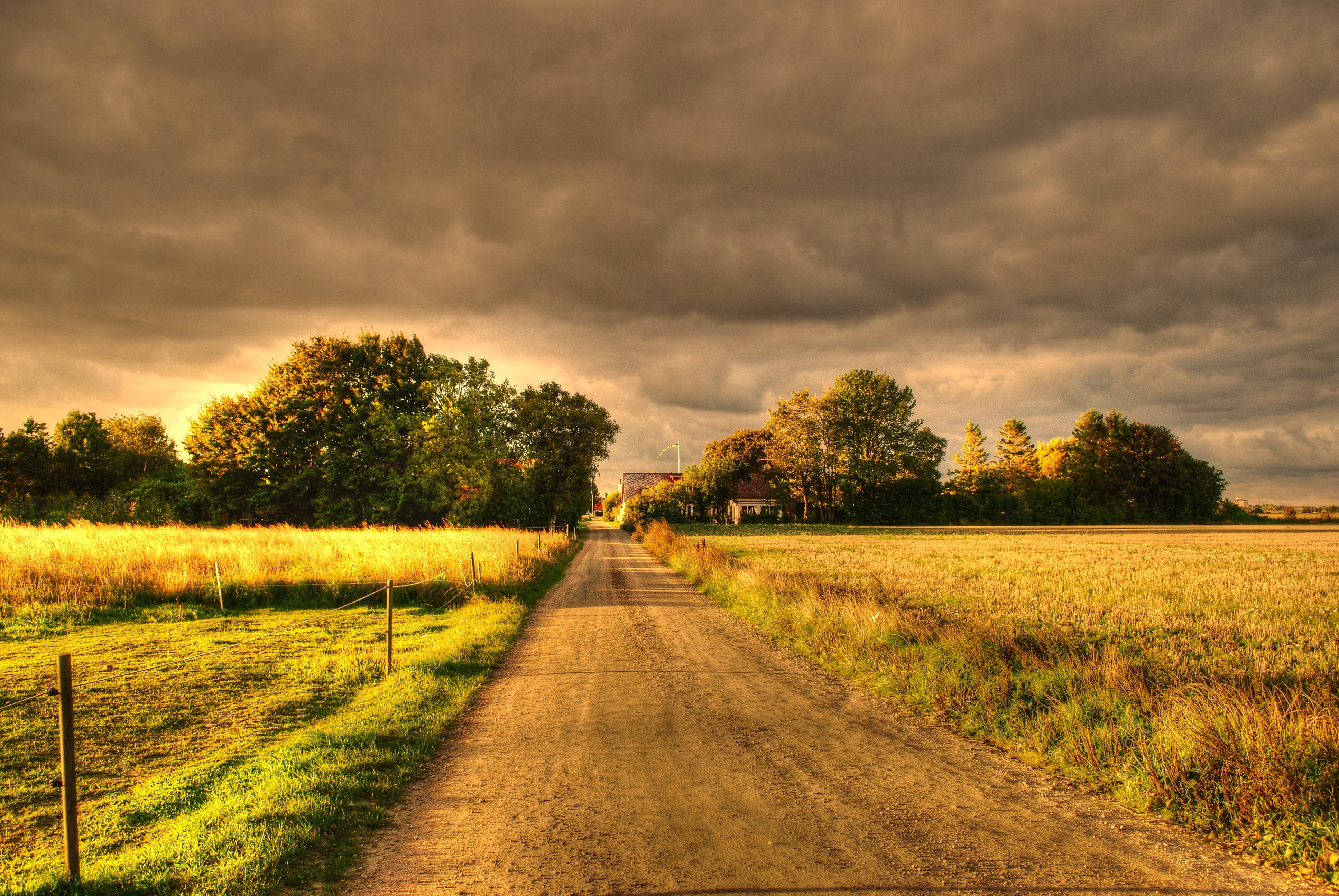 Красота осени — пышное зеленое поле под хмурым небом. Шпалери