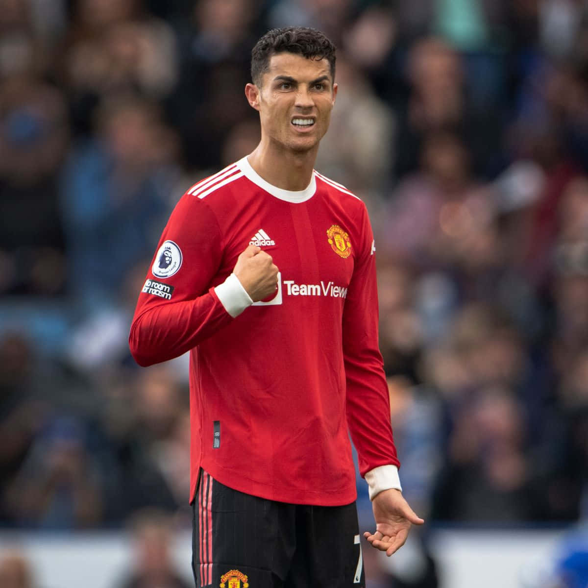 Криштиану Роналду позует на поле Шпалери