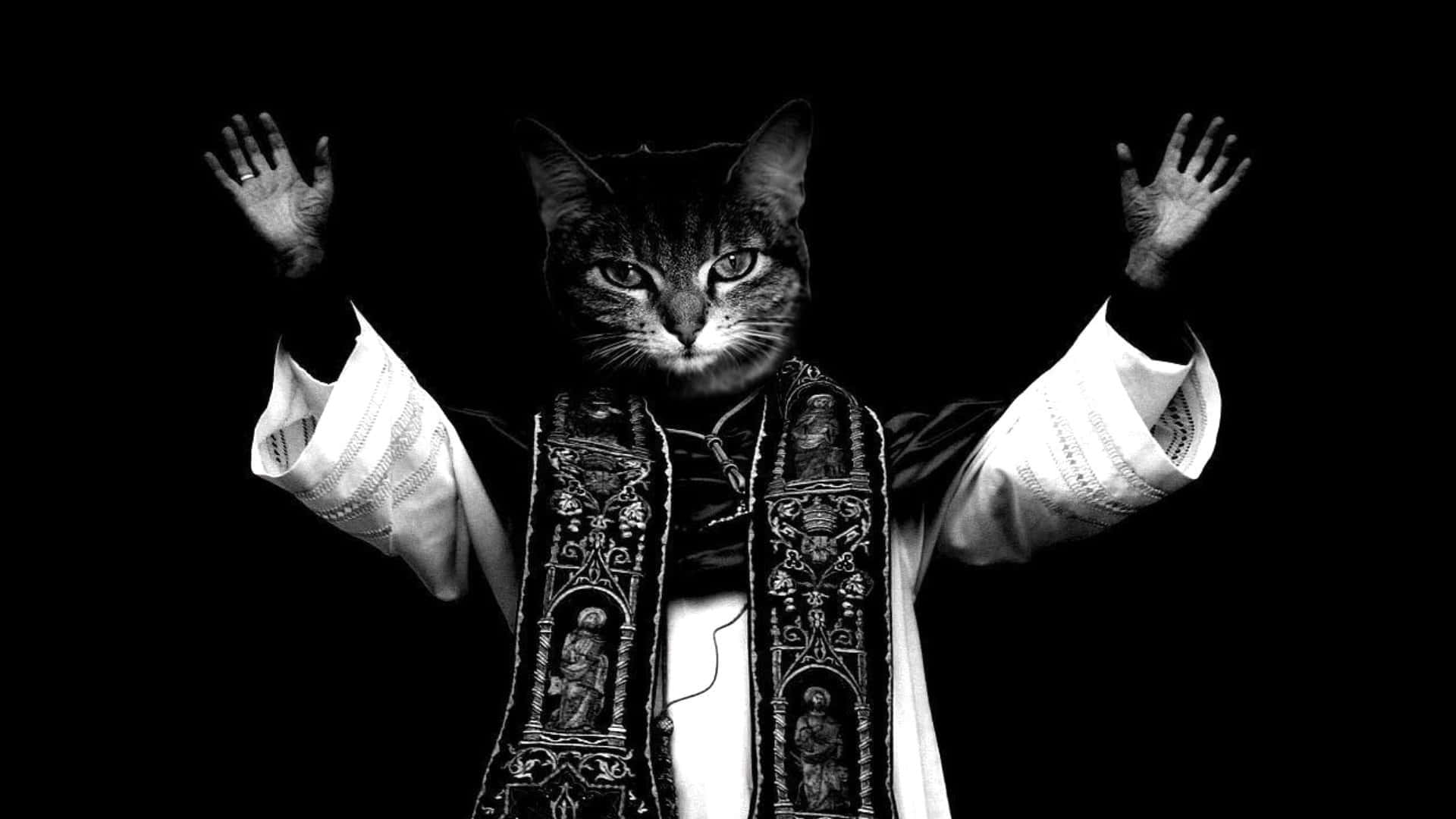 Кумедний котик-священик піднімає лапки Шпалери