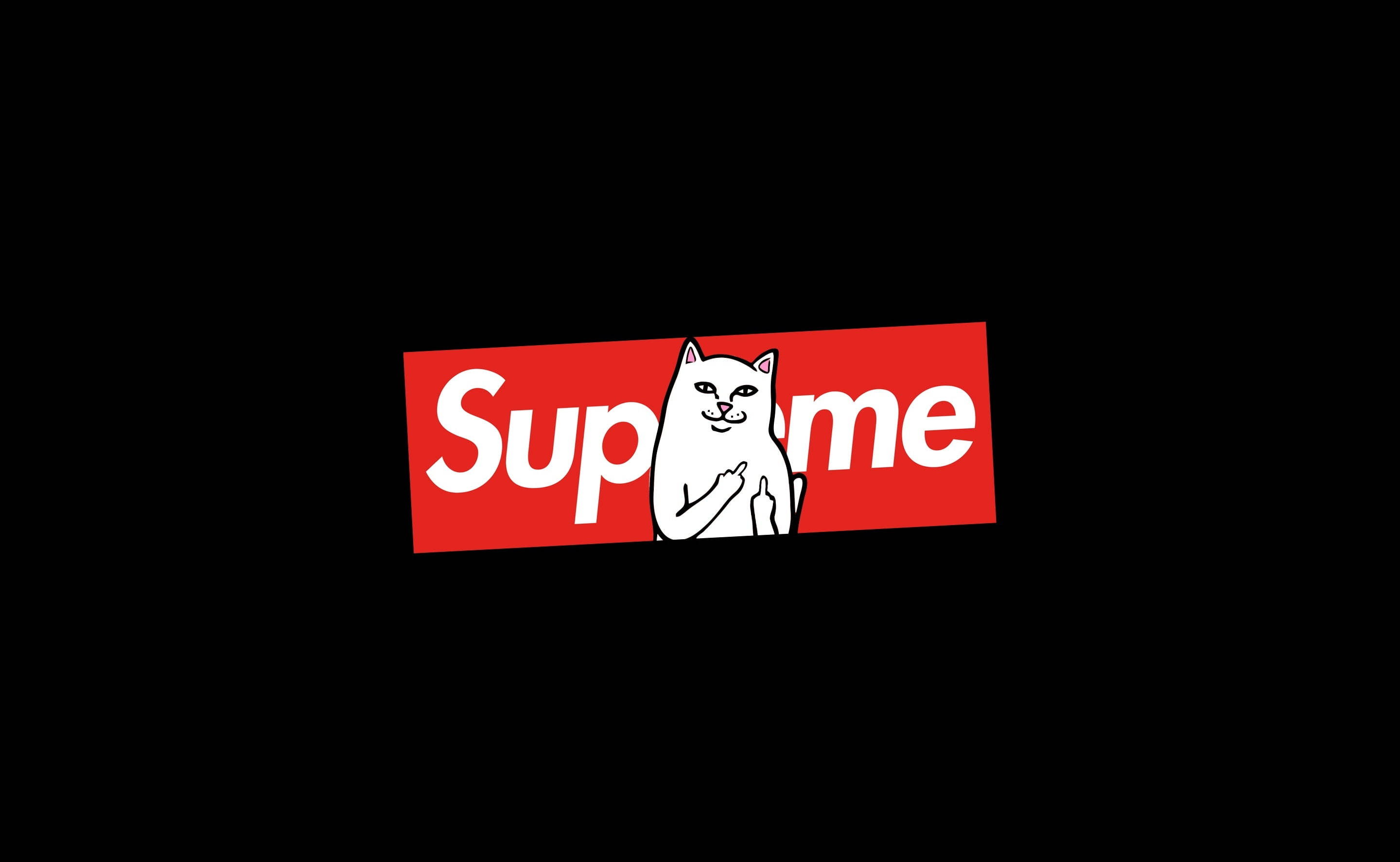 Кіт сидить на ноутбуці Supreme Шпалери