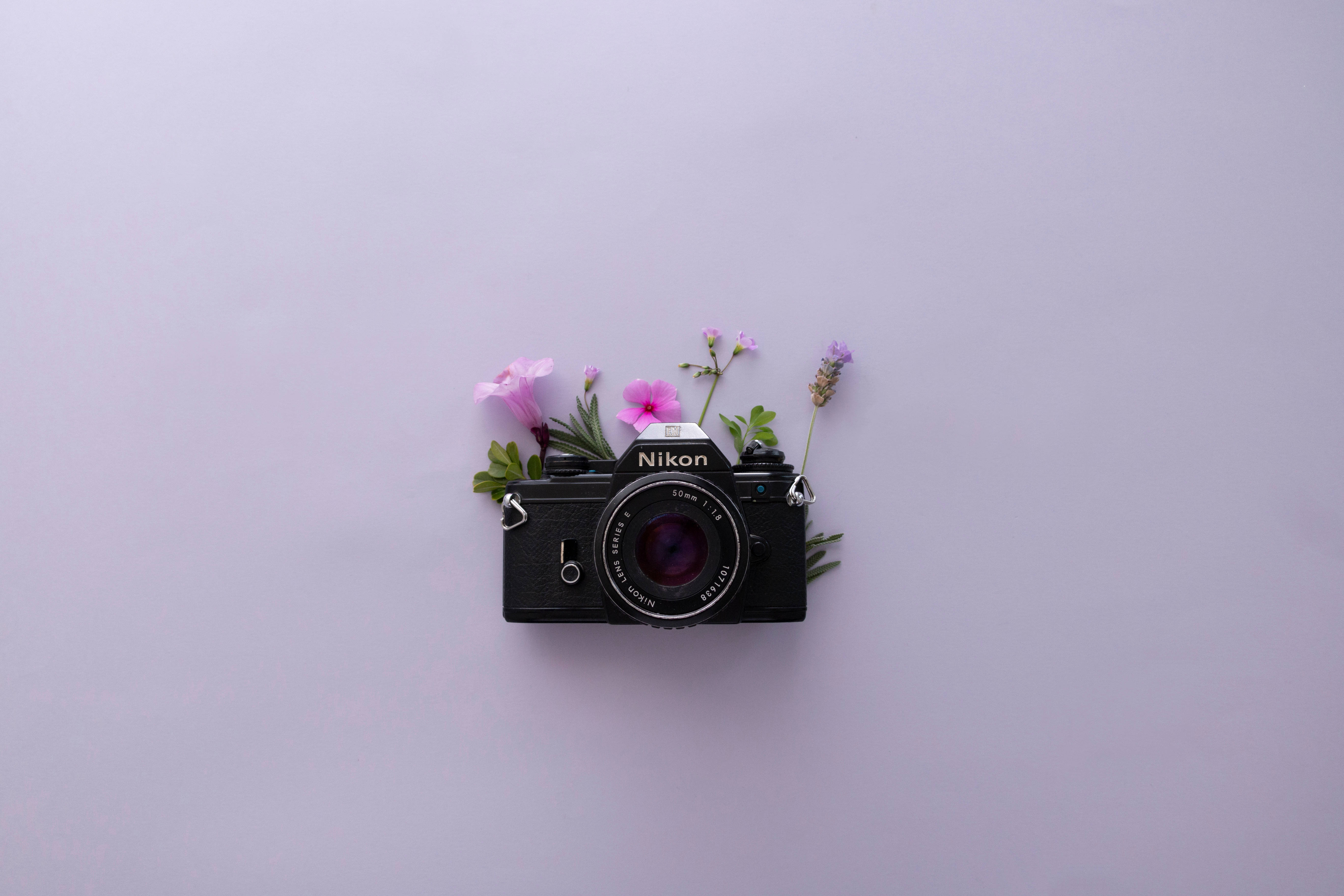 Лавандова естетика та камера Nikon Шпалери