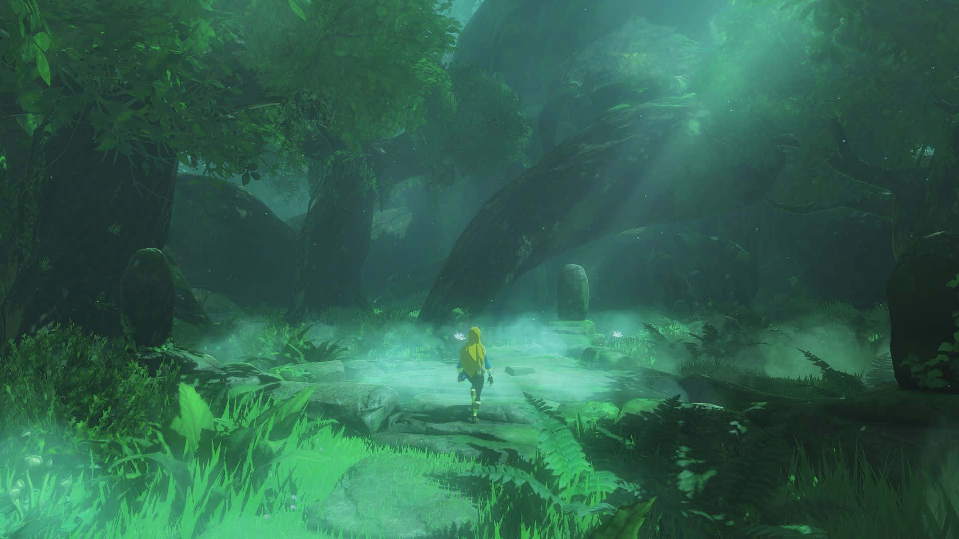 Лінк у подорожі світом The Legend of Zelda Шпалери