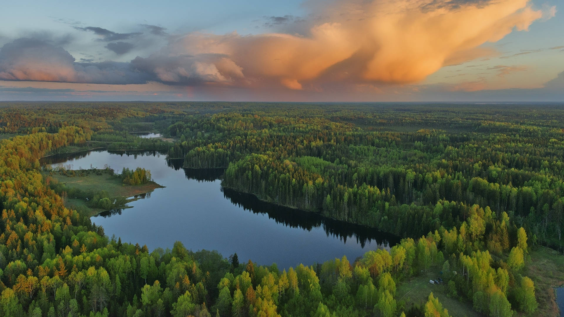 Лісовий краєвид з озером Шпалери