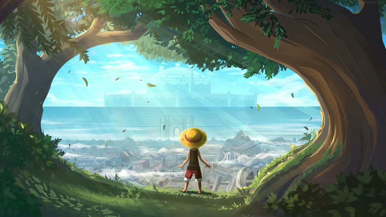 One Piece зображення — One Piece 4K гіф Шпалери