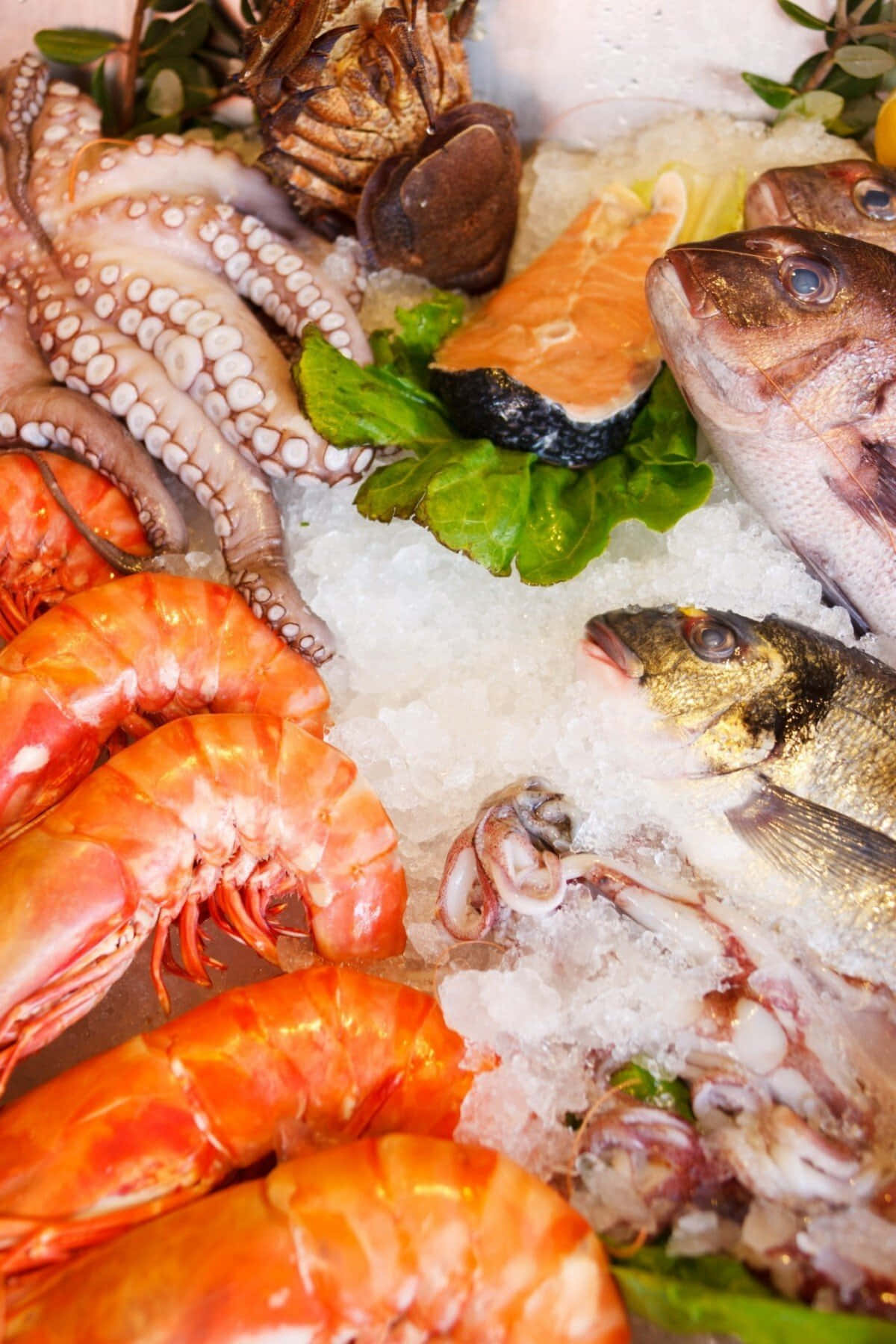 Насладитесь свежим блюдом из морепродуктов Шпалери