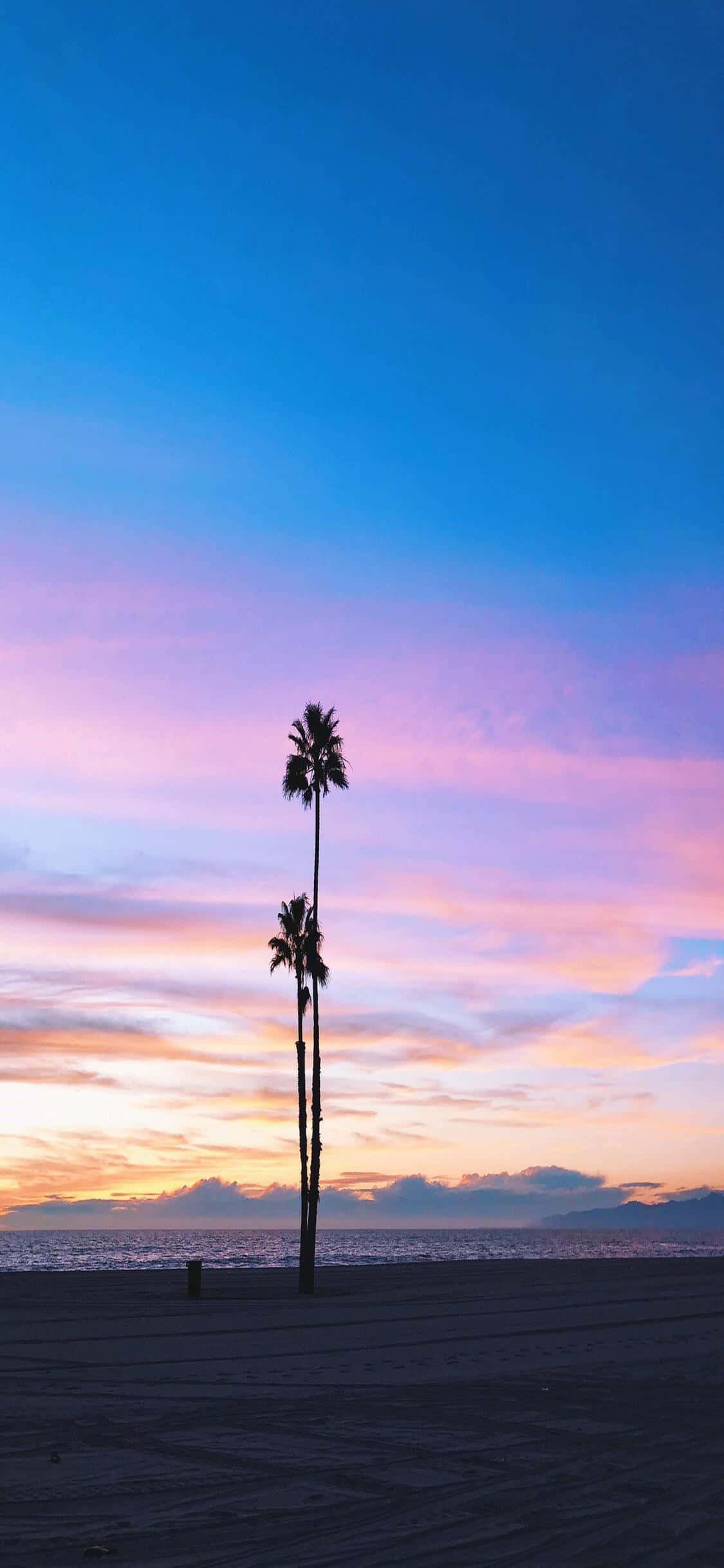 Наслаждайтесь жизнью в Золотом штате с iPhone X California Шпалери