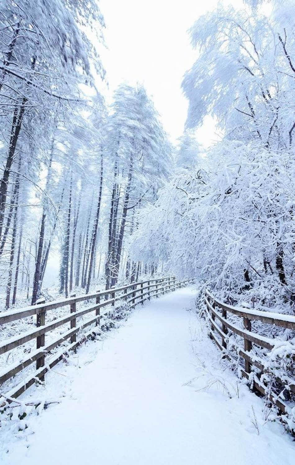 Наслаждайтесь хрустящим снегом, кемпингуя со своим Snow iPhone Шпалери