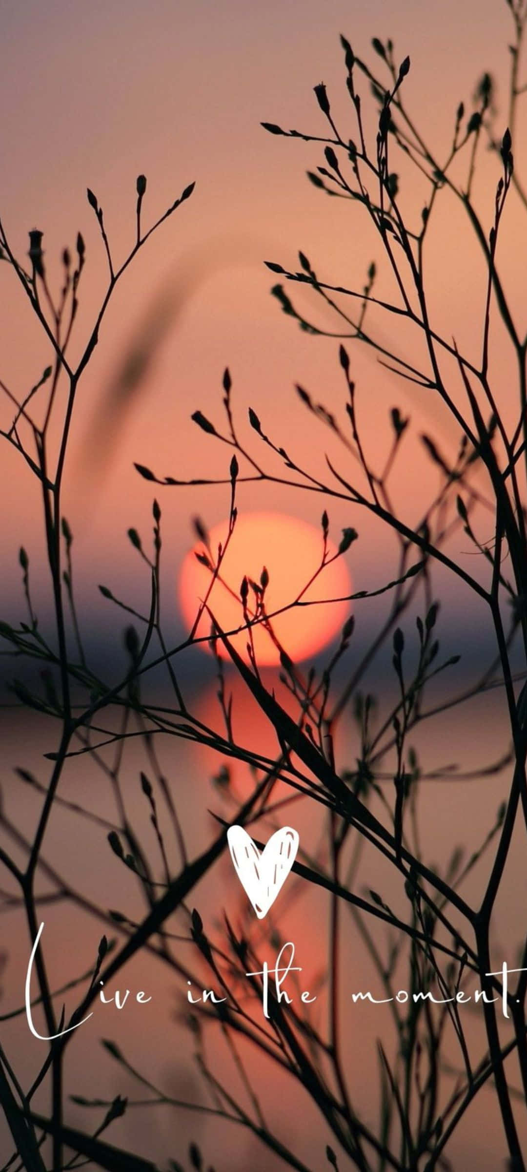 Натхнення силуетом на заході сонця Шпалери