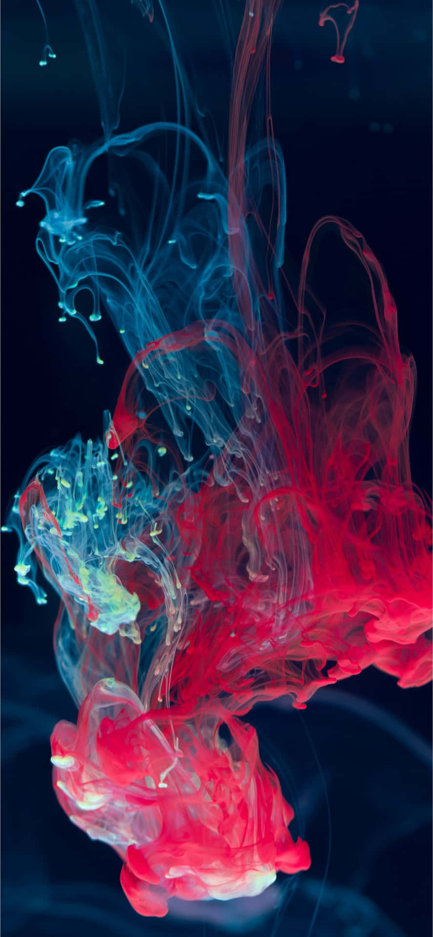 фон iPhone 13 — iPhone 13 GIF Шпалери