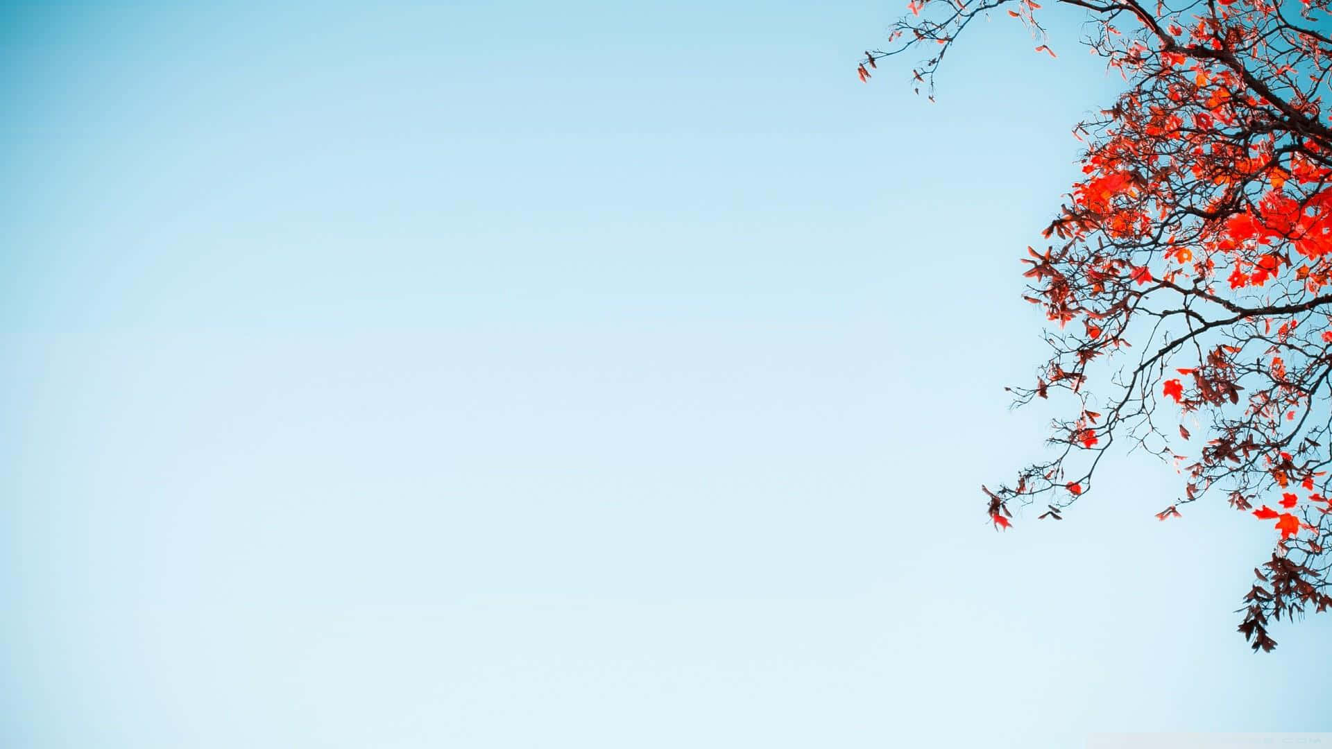 Ніжно-пастельне голубое небо для естетичного робочого стола Шпалери