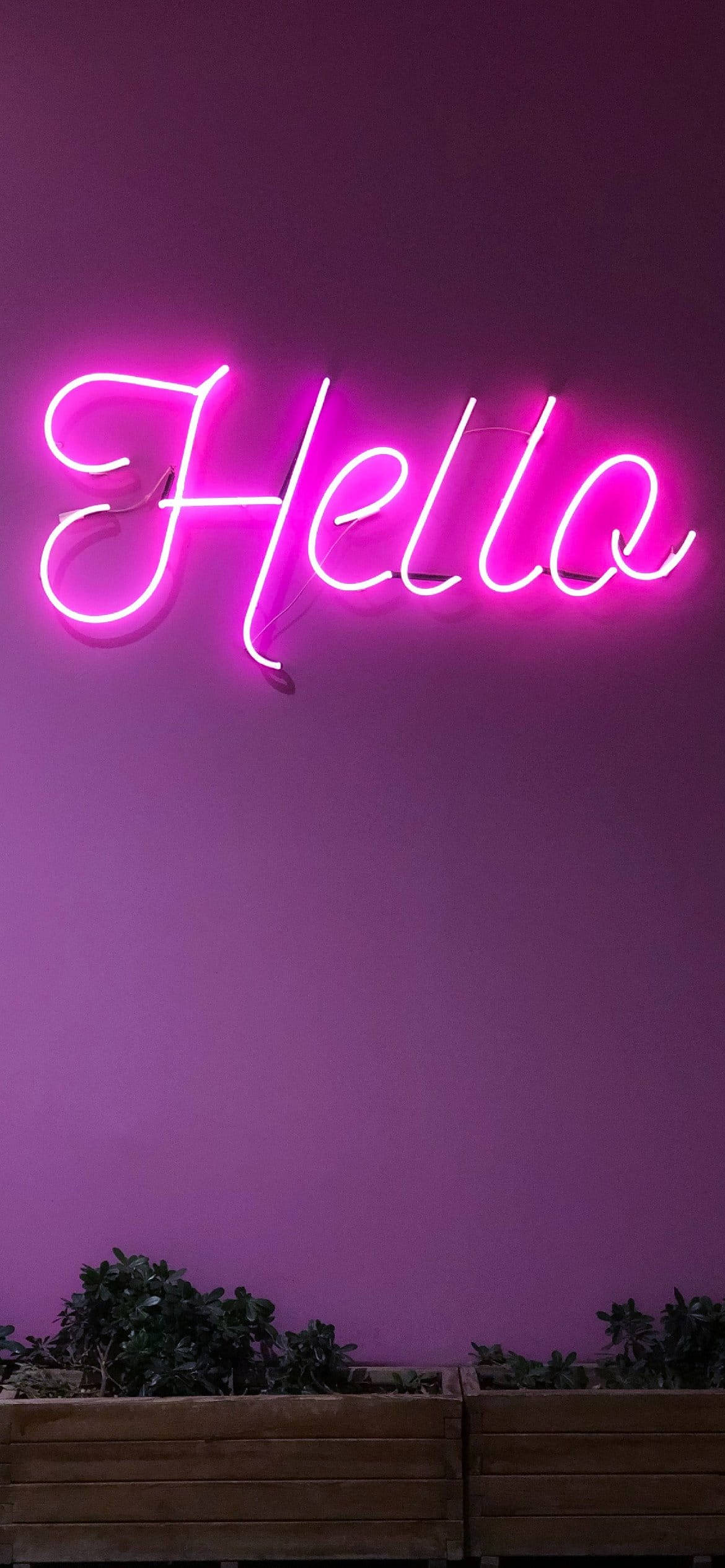 Ніжно-фіолетова естетика Hello у неоні Шпалери
