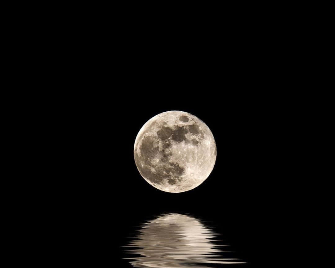 повний місяць відображається у воді Шпалери