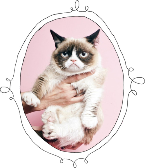 Портрет сердитого кота Шпалери