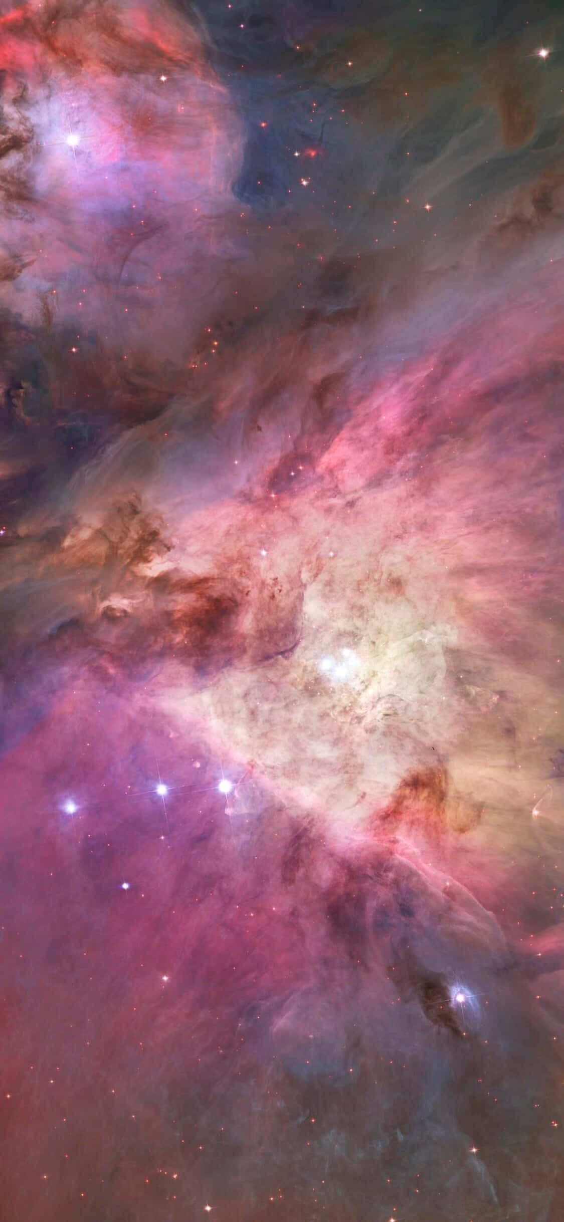 Потрясающее созвездие Ориона на фоне моря звезд. Шпалери