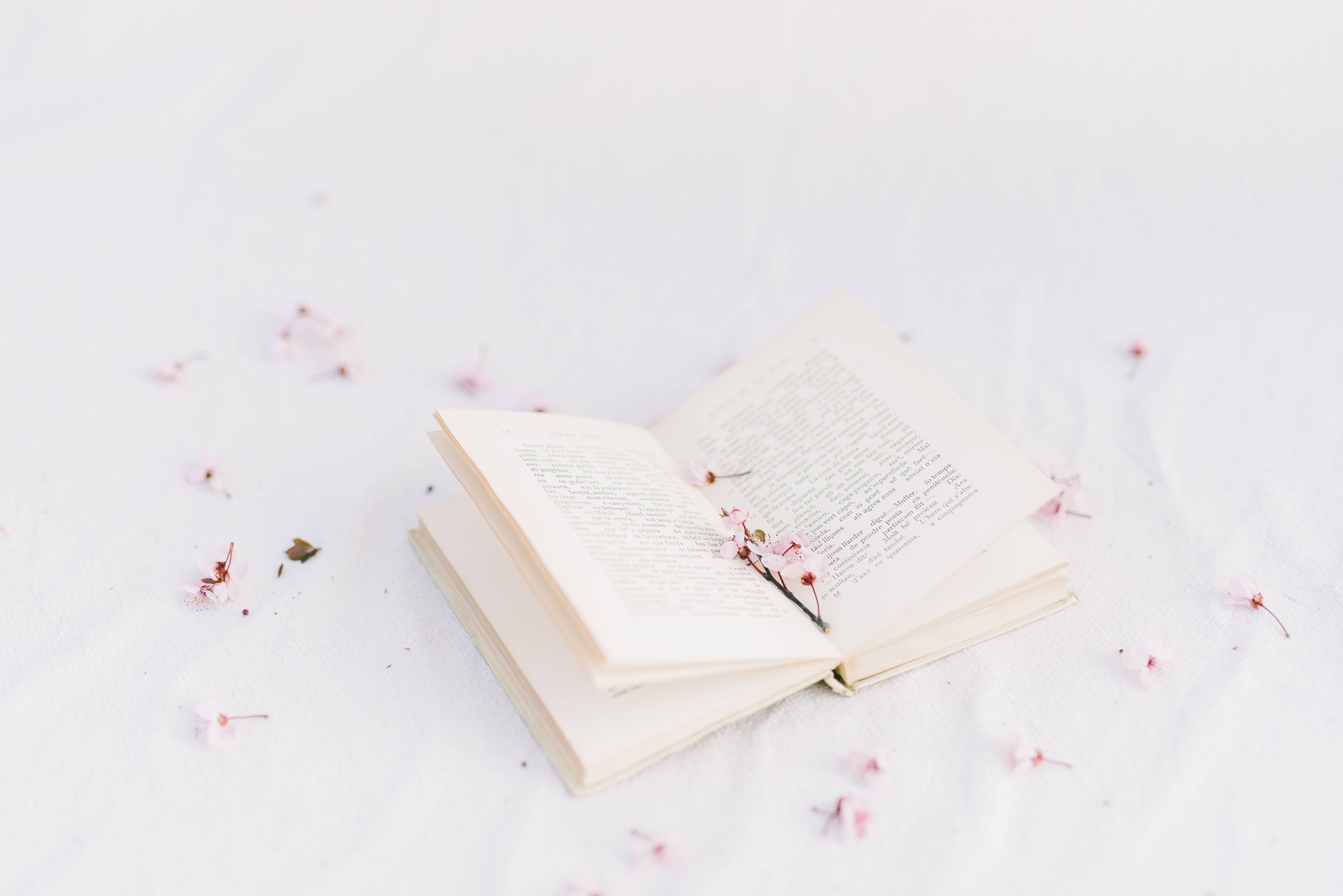 Преппі естетика книги з квітами Шпалери