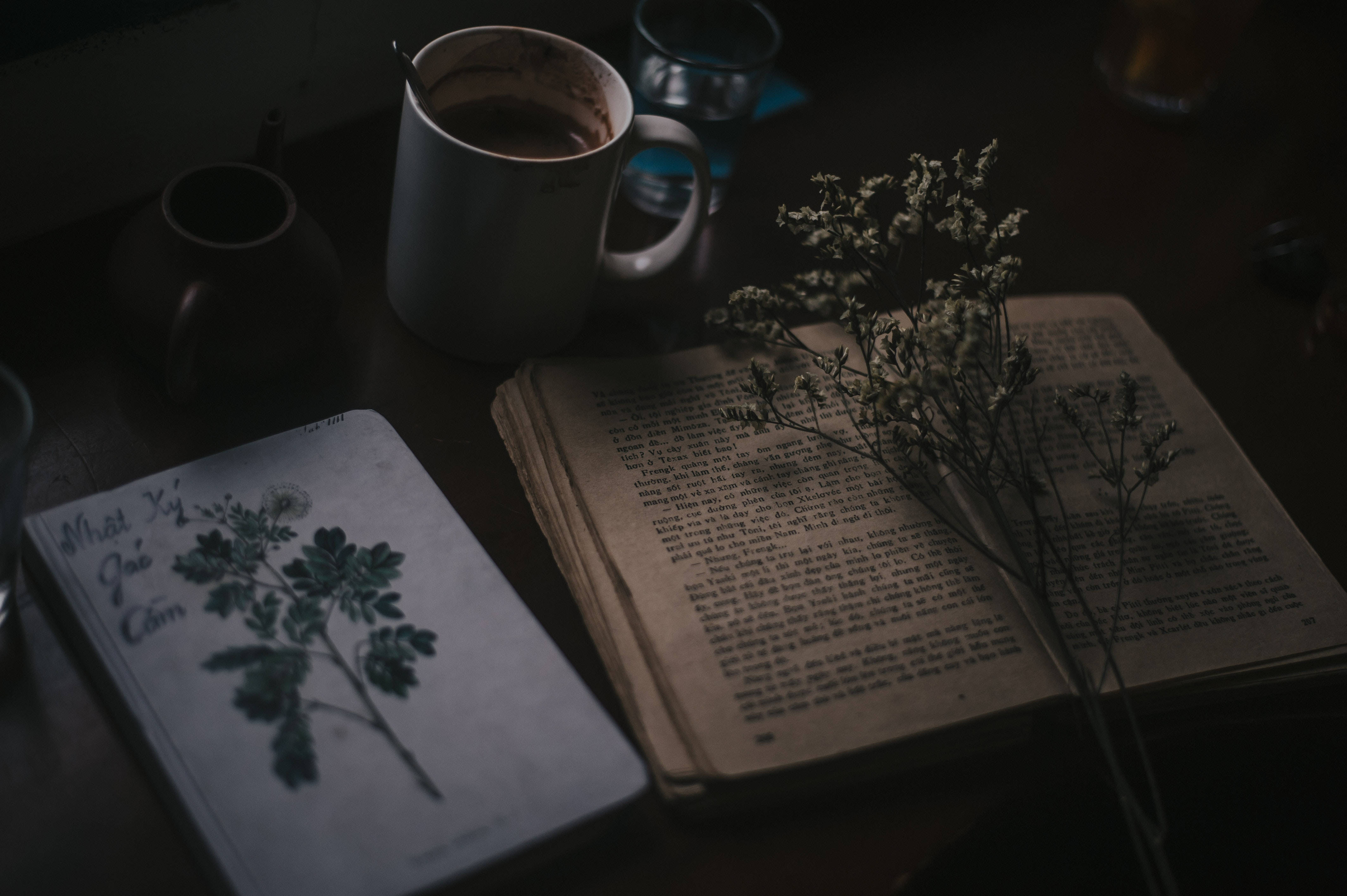 Преппі естетика книги рослини Шпалери